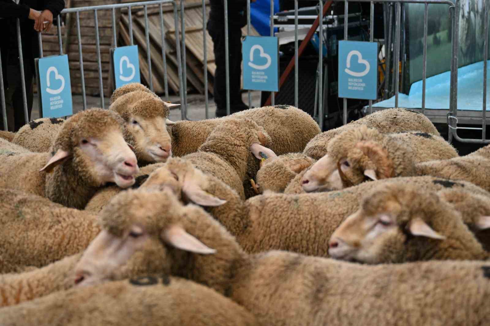 Bigadiçli üreticinin yüzünü Başkan Akın güldürdü
