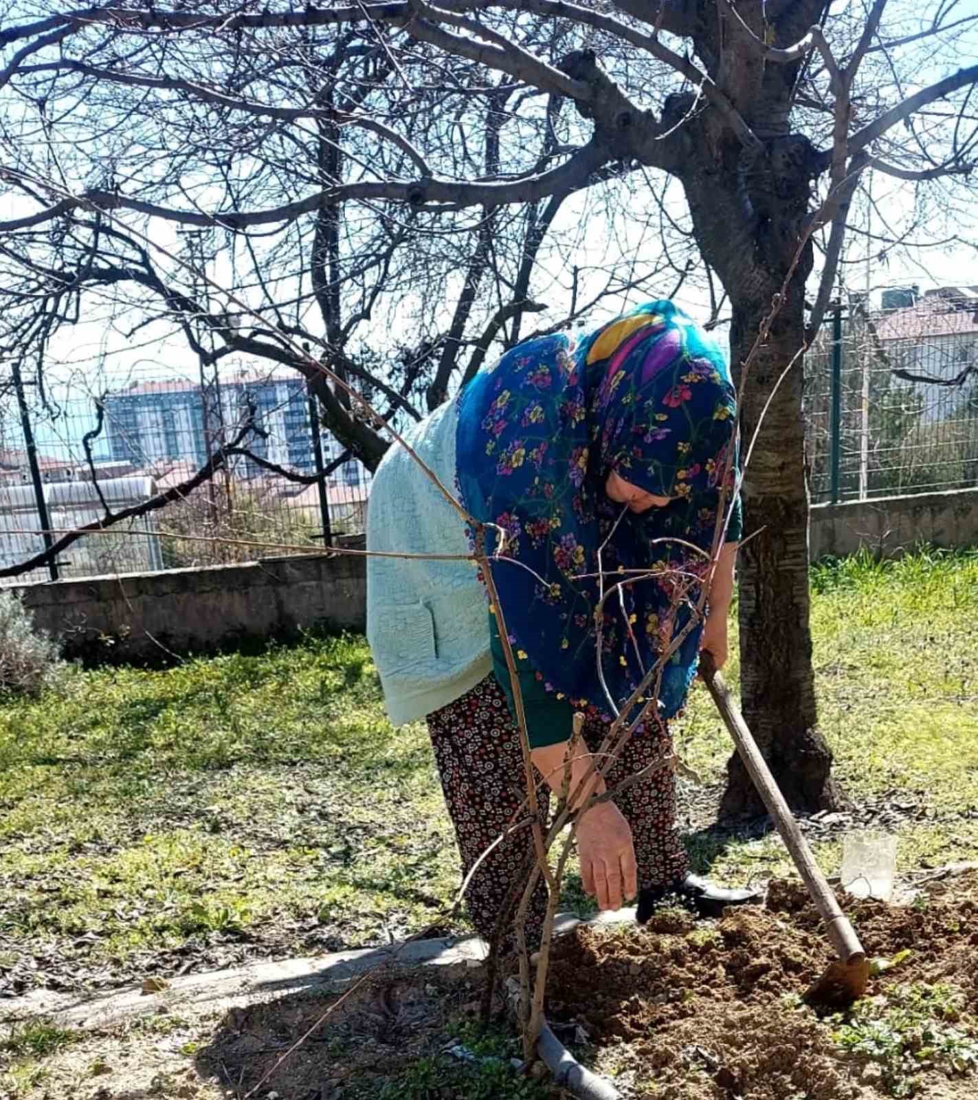 Bilecik huzurevinde kalan yaşlılar bahçeyi güzelleştiriyor
