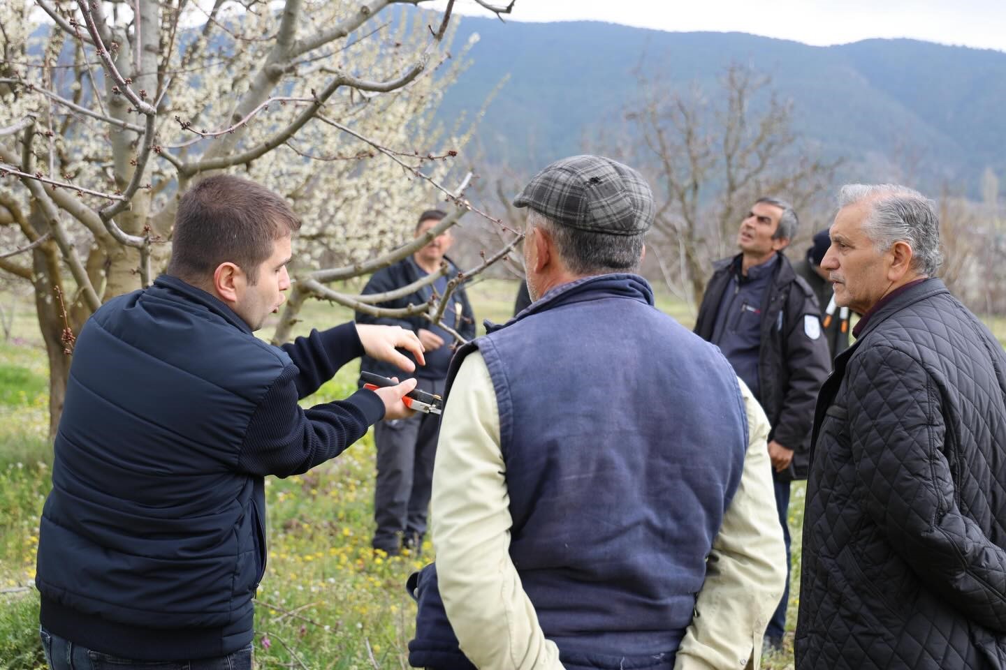 Bilecik’te budama kursu düzenlendi
