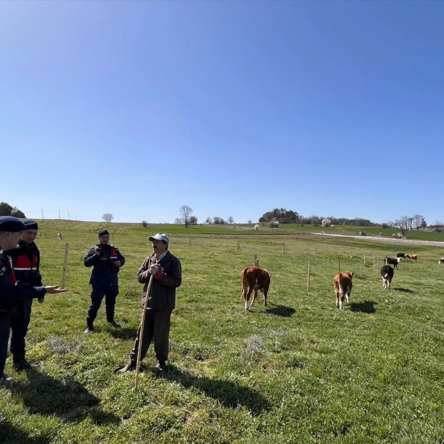 Bilecik’te hayvan hırsızlığı ve dolandırıcılık uyarısı

