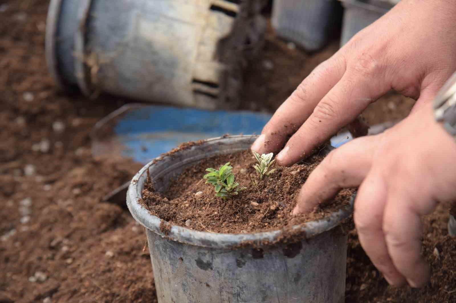 Bilecik’te park ve bahçelerden bahara hazırlık
