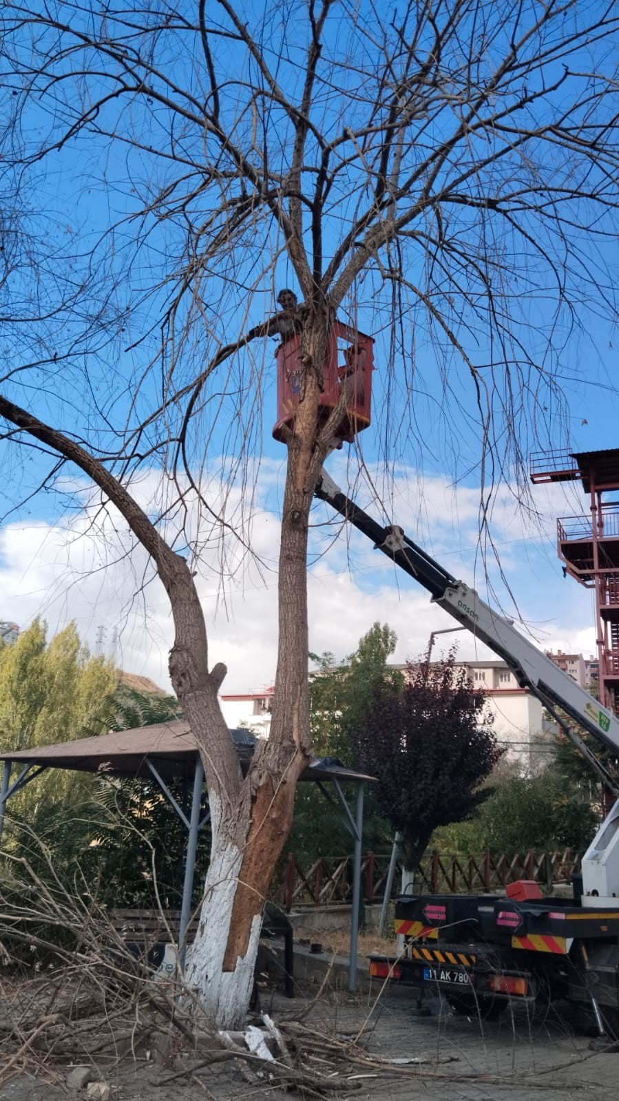 Bilecik’te park ve bahçelerden bahara hazırlık

