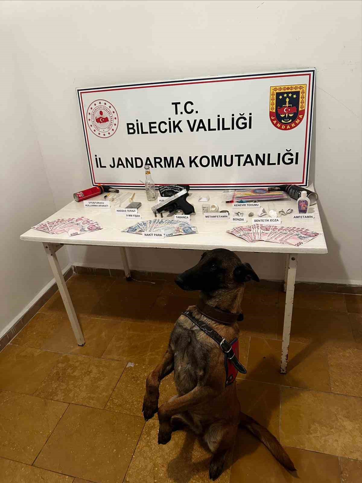 Bilecik’te uyuşturucu ve silah ele geçirildi
