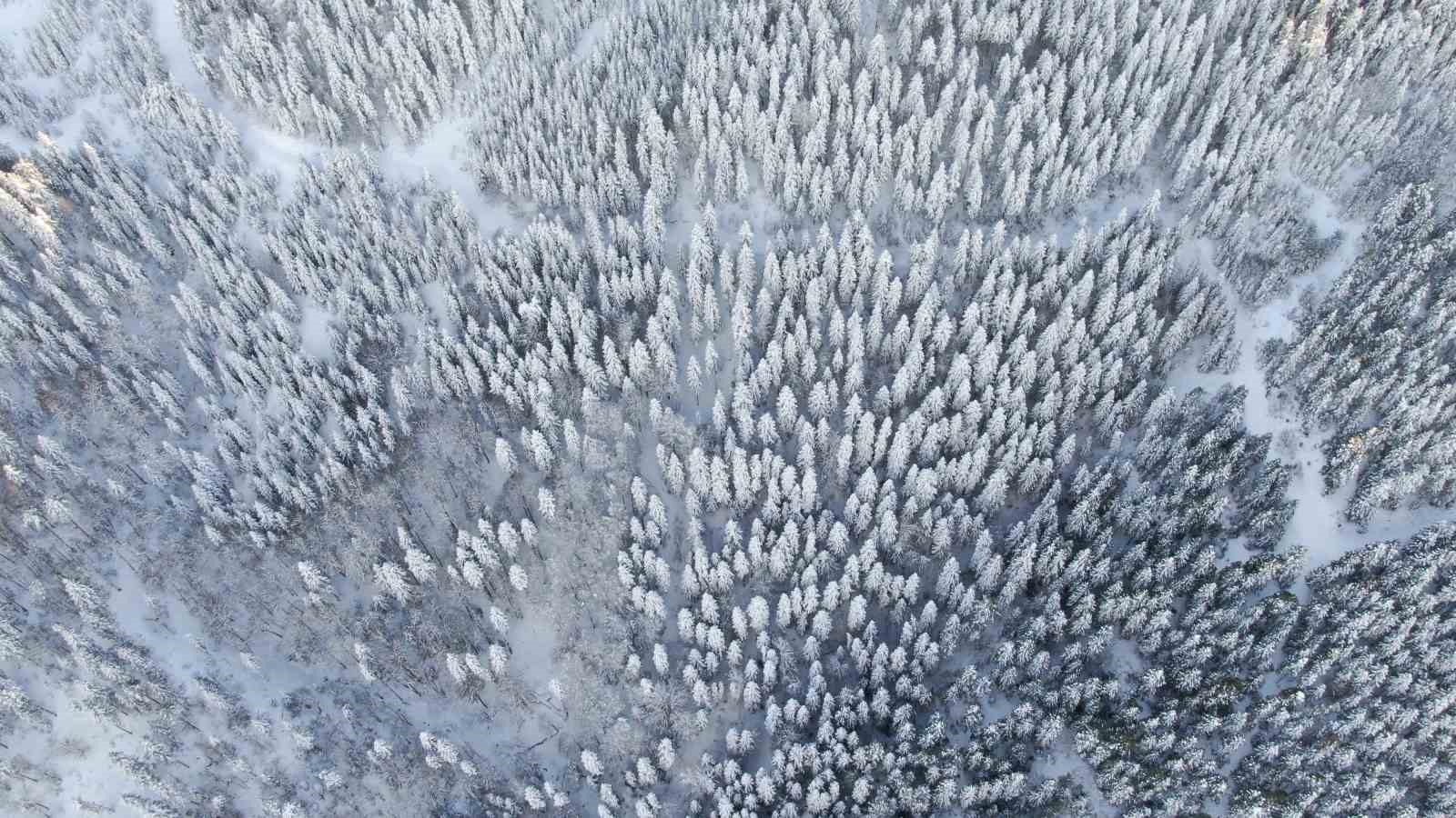 Bin 250 rakımlı Yaralıgöz Dağı’nda muhteşem kar manzarası
