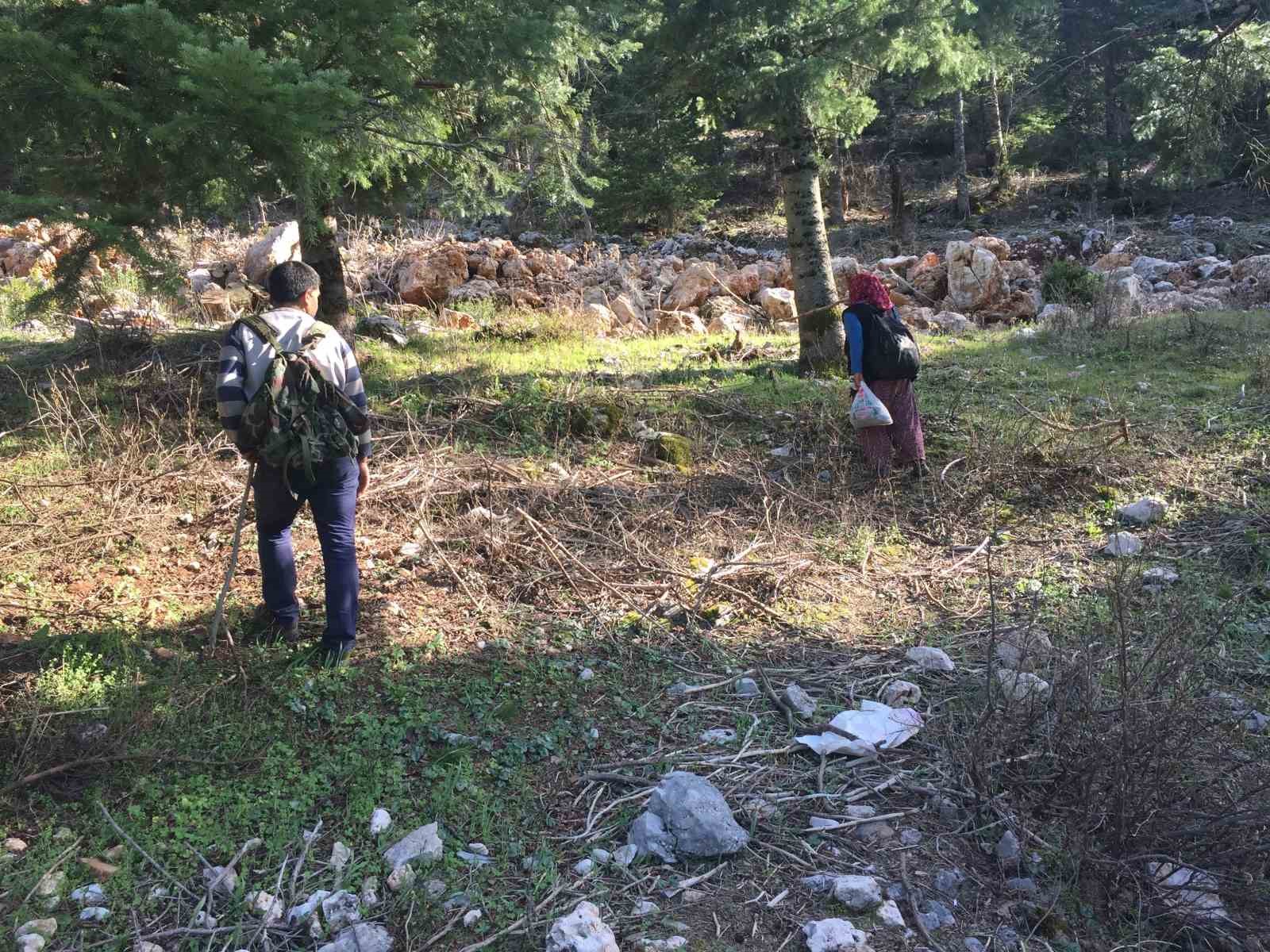 Bin 800 rakımlı dağlardan toplanıp kilosu bin 500 liradan satılıyor
