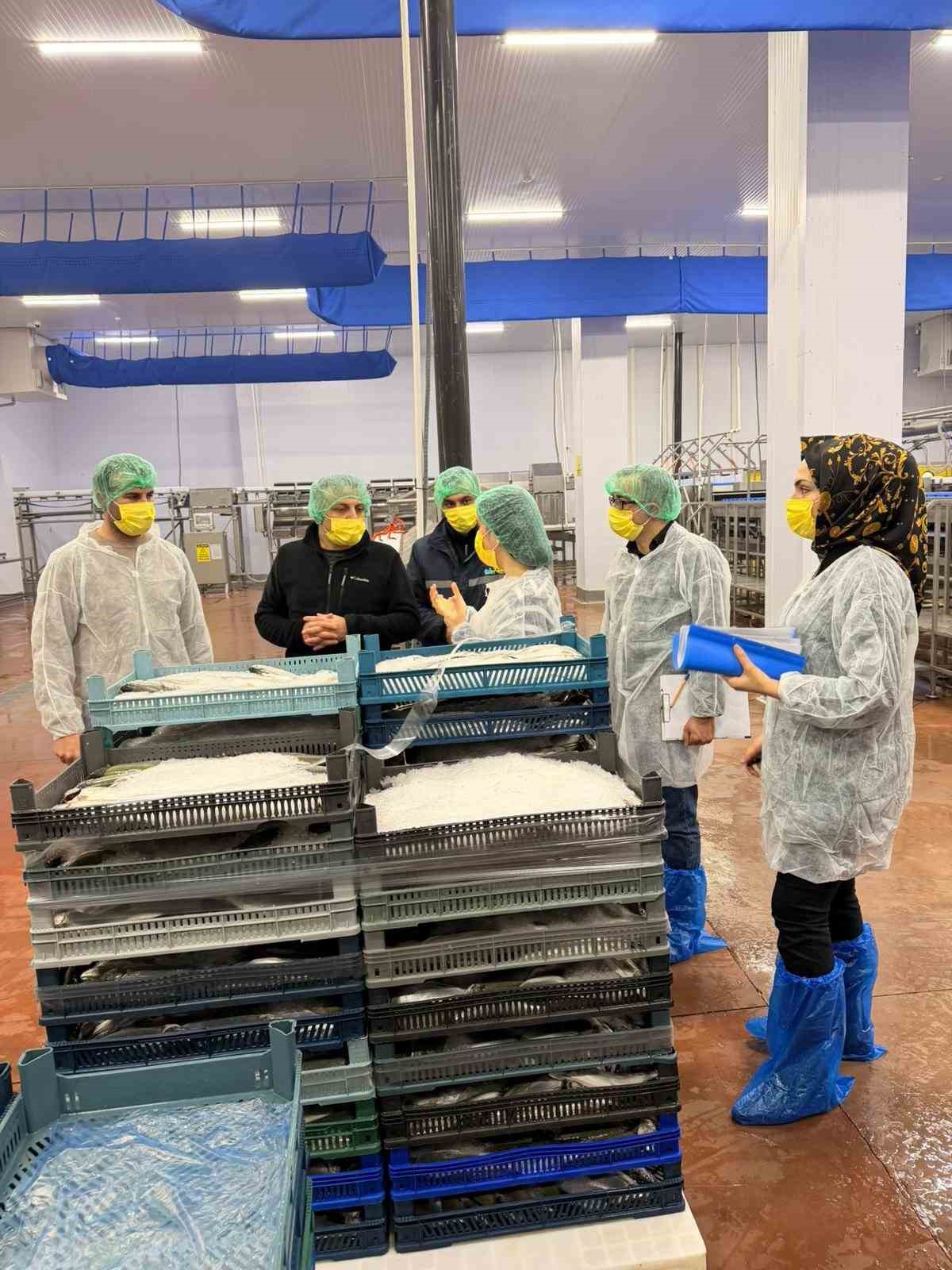 Bingöl’de balık işleme tesisleri denetlendi
