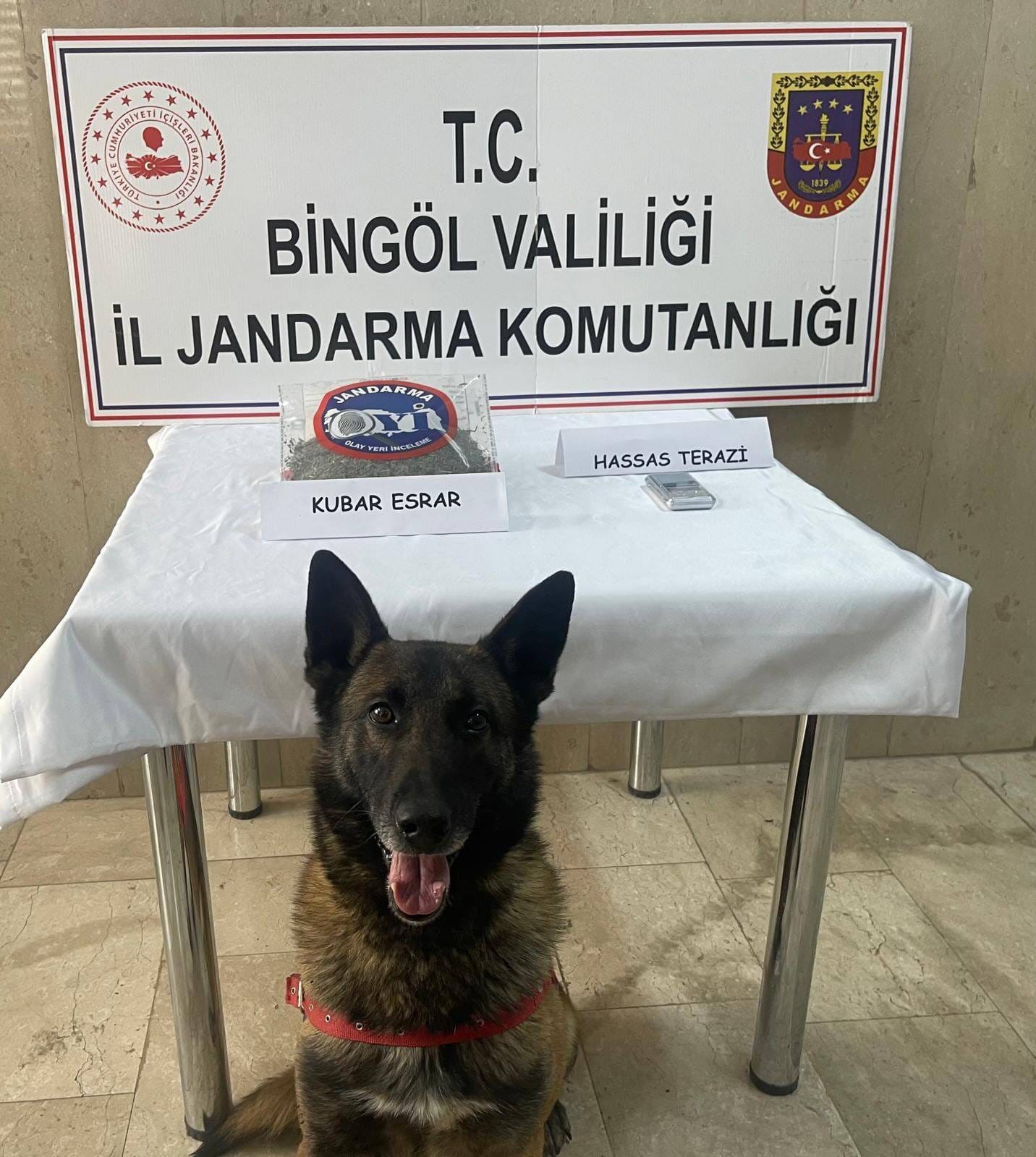 Bingöl’de kesinleşmiş hapis cezası bulunan 8 zanlı yakalandı
