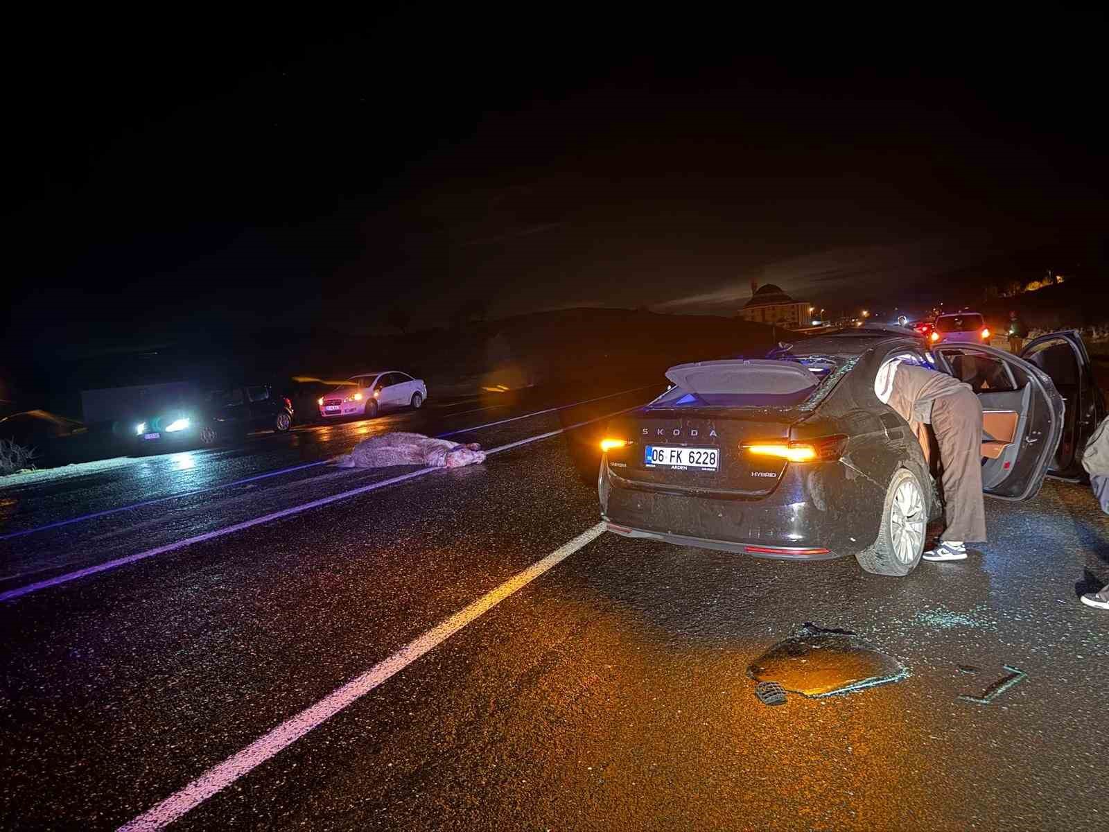 Bingöl’de otomobil ata çarptı: 4 yaralı
