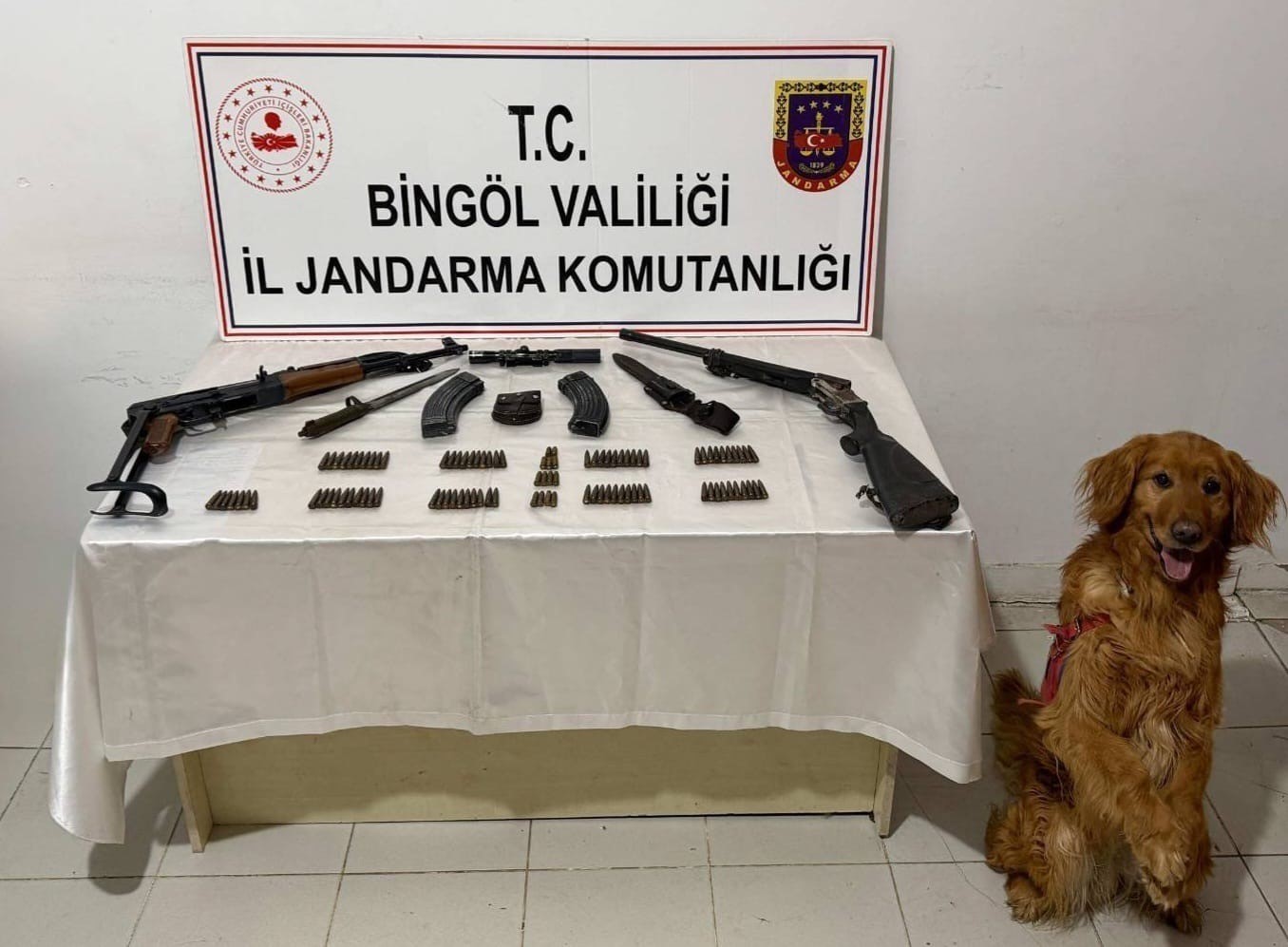 Bingöl’de silah ve mühimmat ele geçirildi
