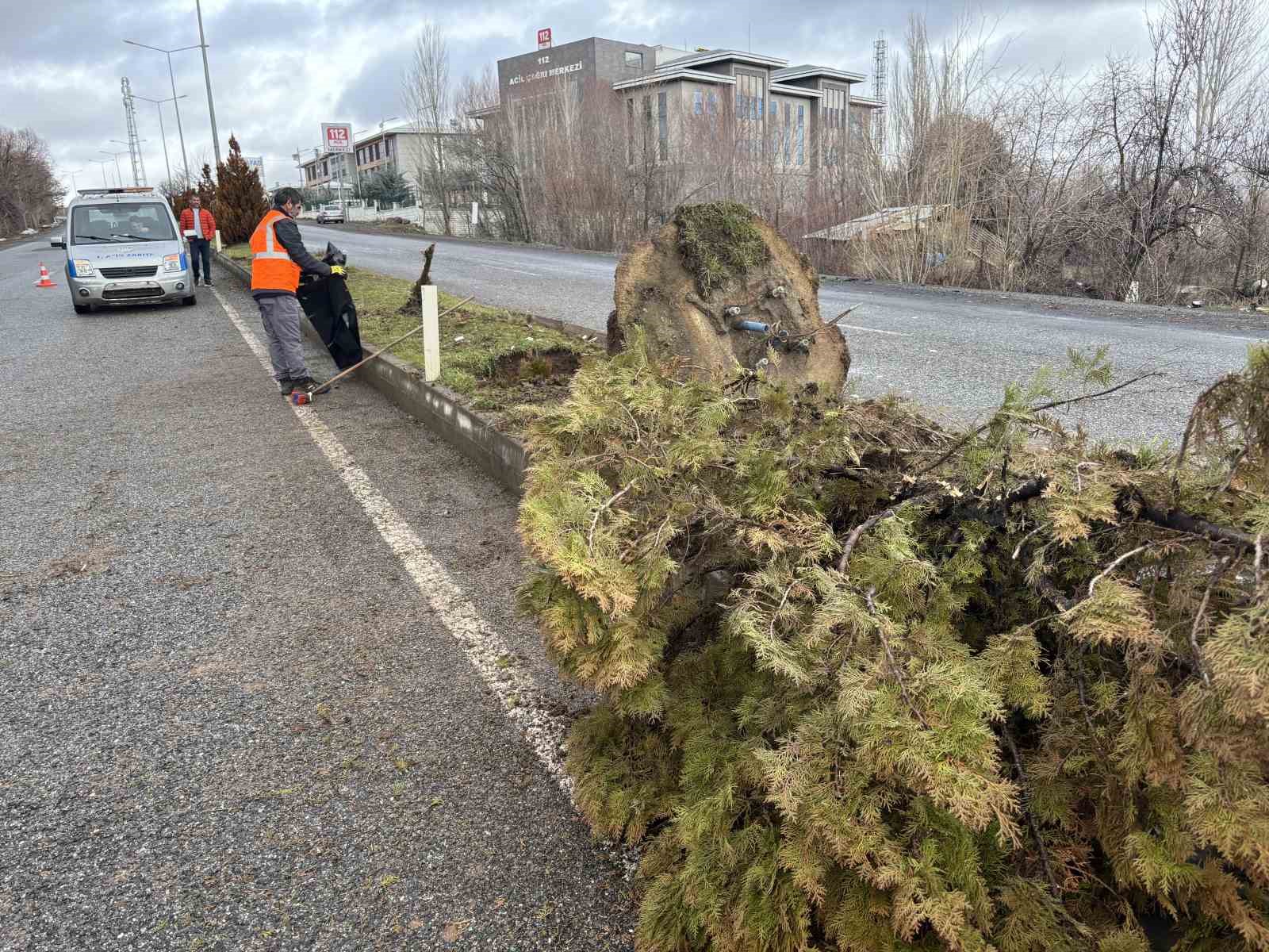 Bingöl’de trafik kazası: 1 ölü
