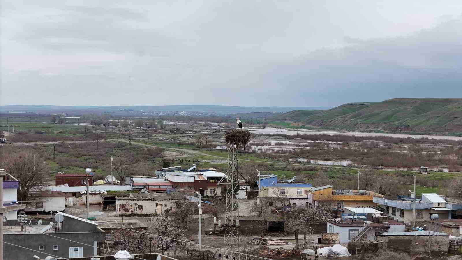 Binlerce kilometre mesafe kateden leylekler yuvalarını Diyarbakır’da kuruyor
