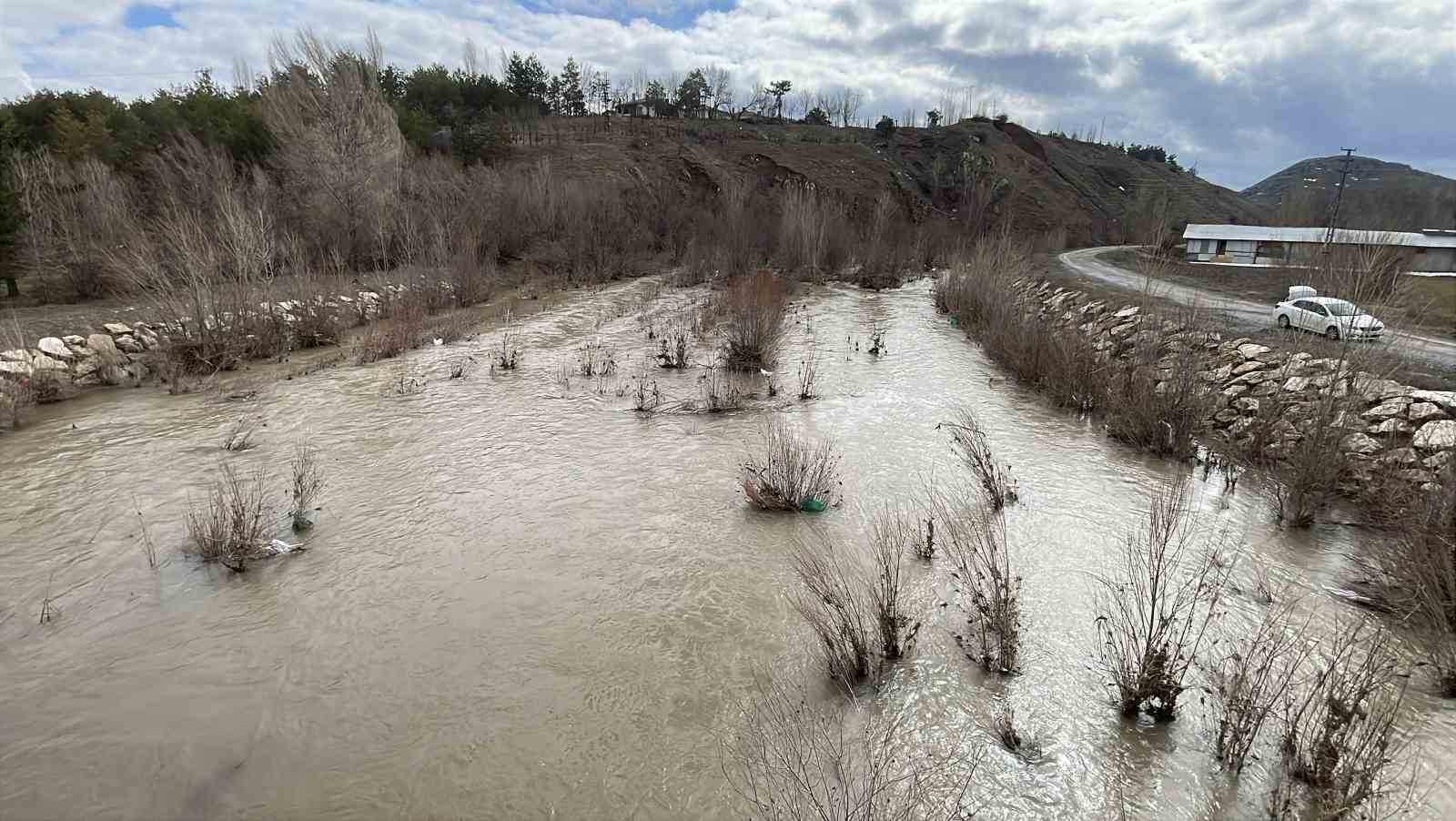 Bir dönem tamamen kuruyan nehir, yeniden coştu
