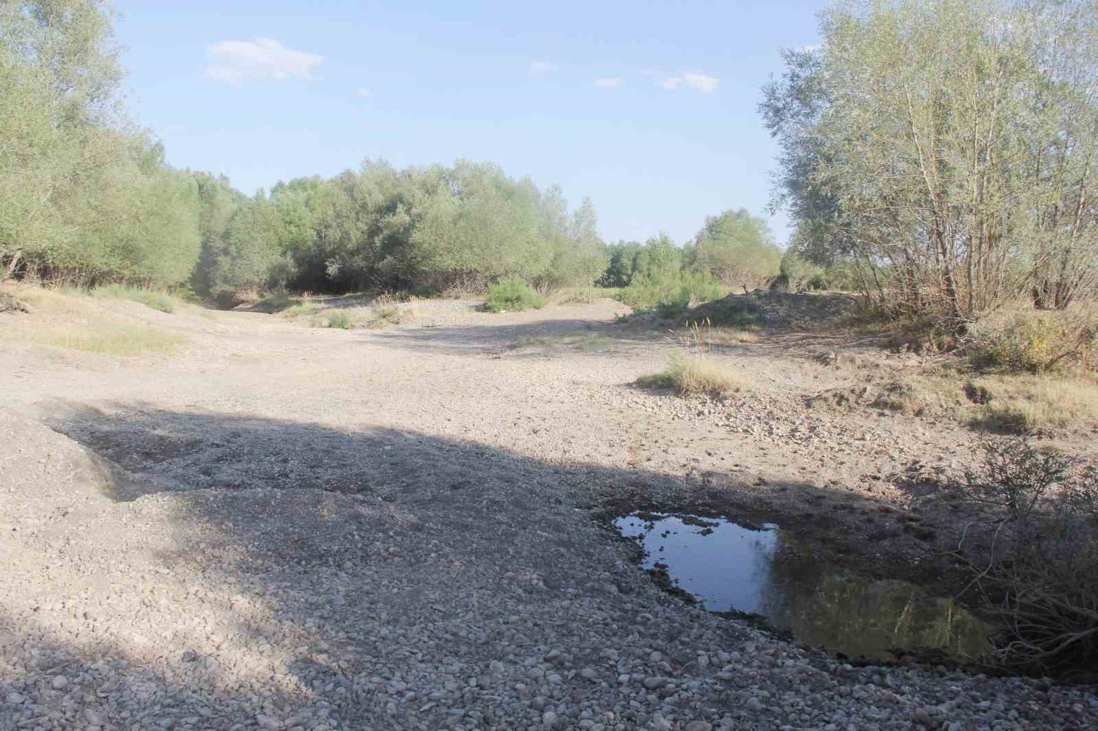 Bir dönem tamamen kuruyan nehir, yeniden coştu
