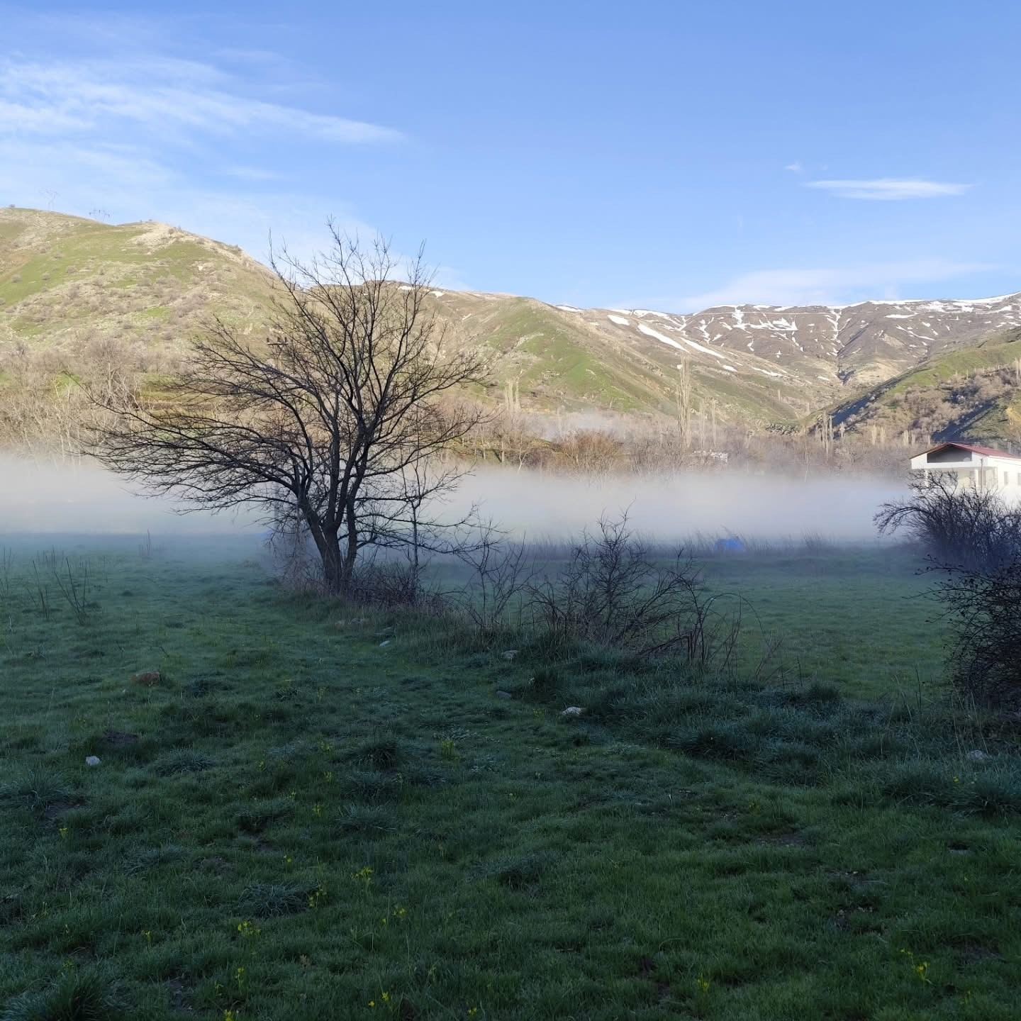 Bir mahalle sis denizinde kayboldu
