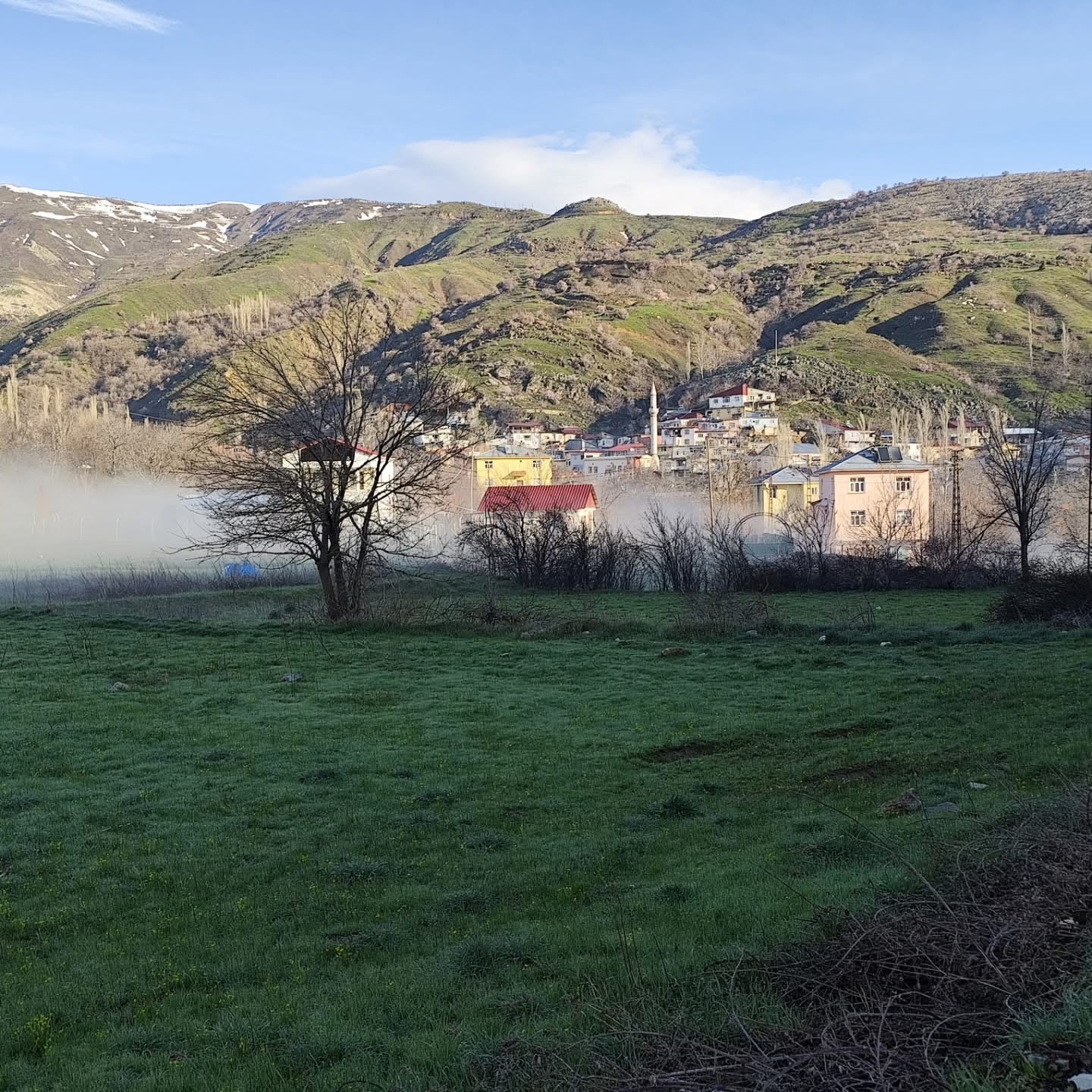 Bir mahalle sis denizinde kayboldu
