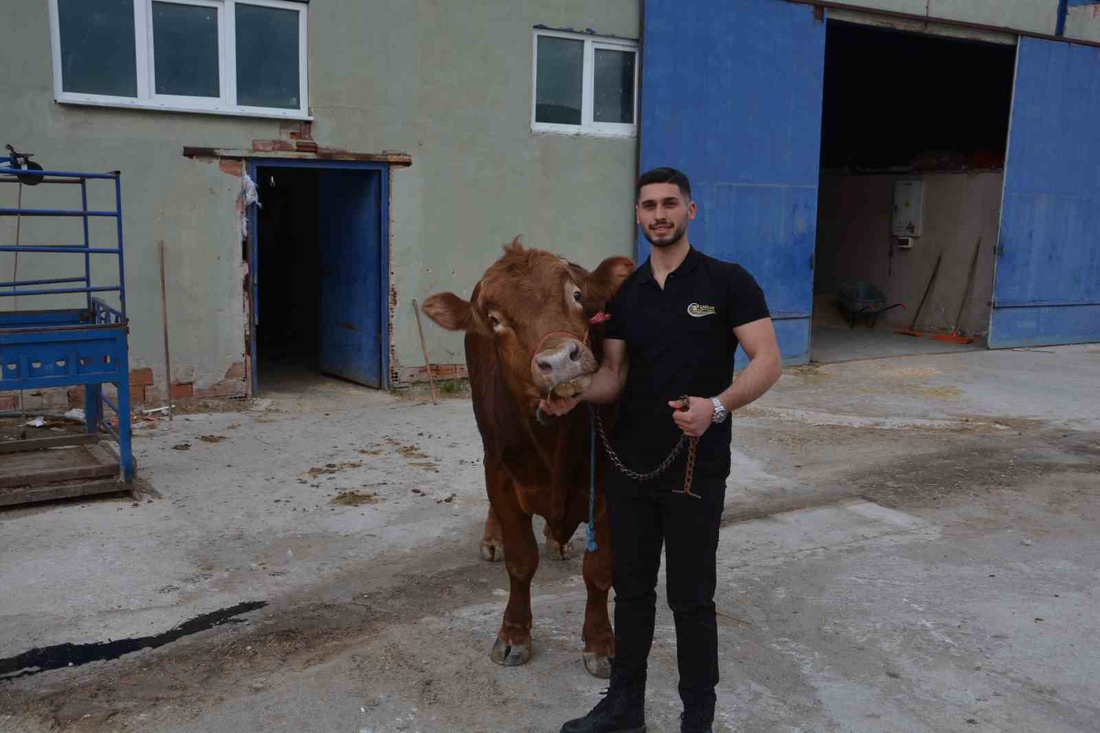 Bir ton 140 kilogramlık kurbanlık dana 575 bin liraya alıcı buldu
