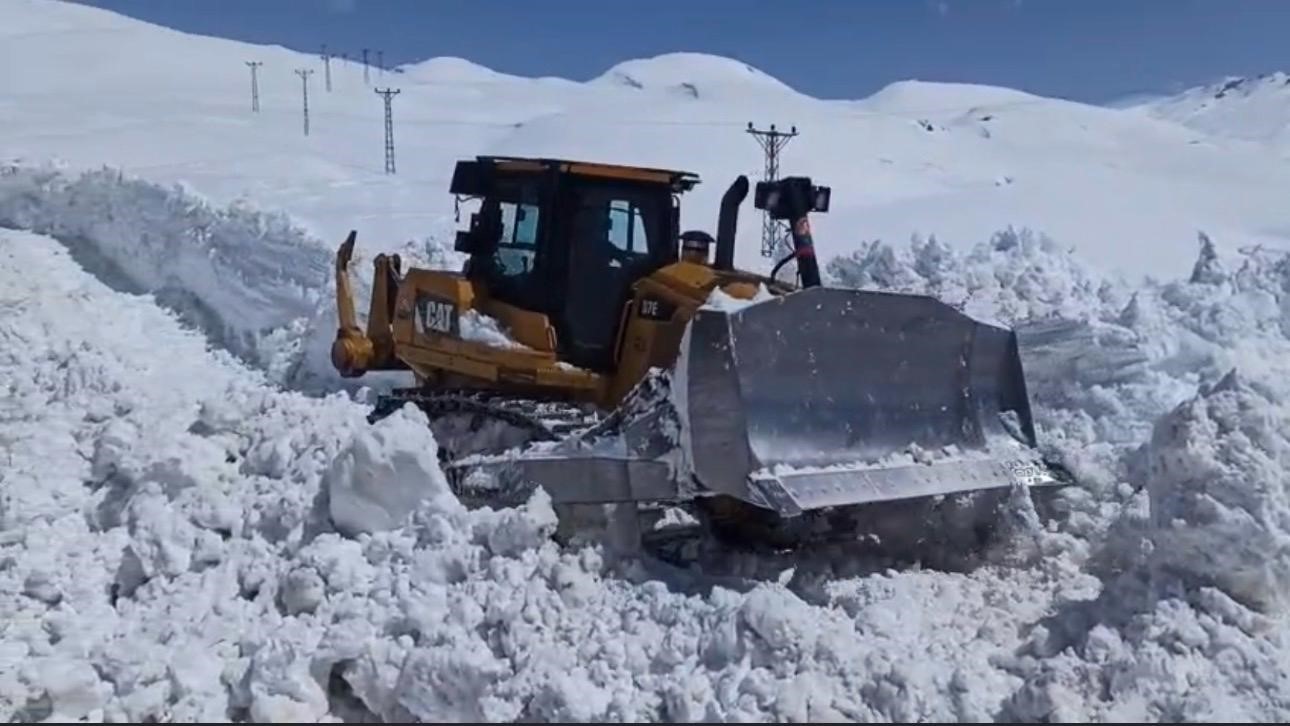 Bir yanda karla mücadele, diğer yanda budama çalışmaları sürüyor

