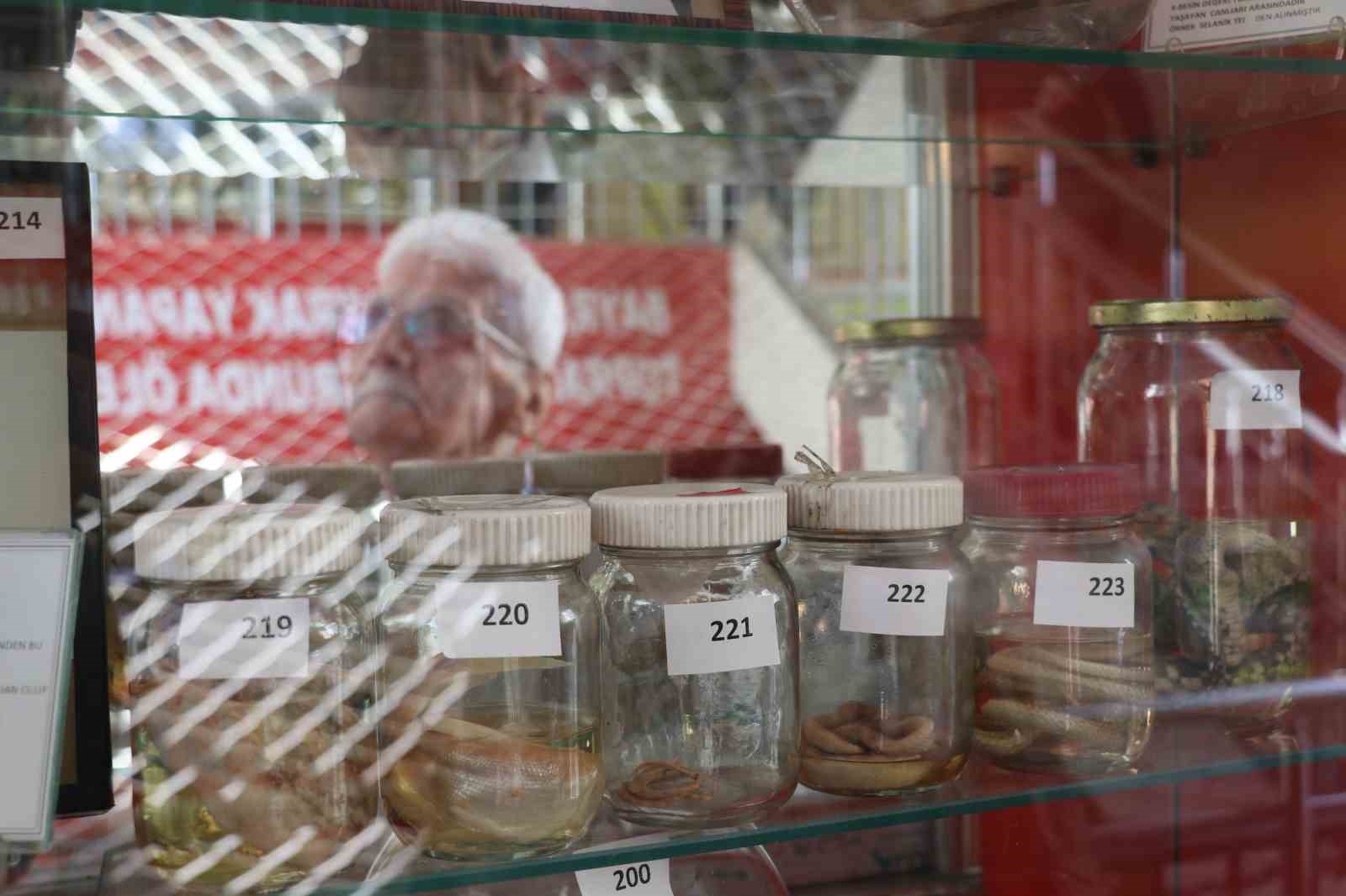 Bir yumurta ile başladığı biyoloji merakını müzeye dönüştürdü
