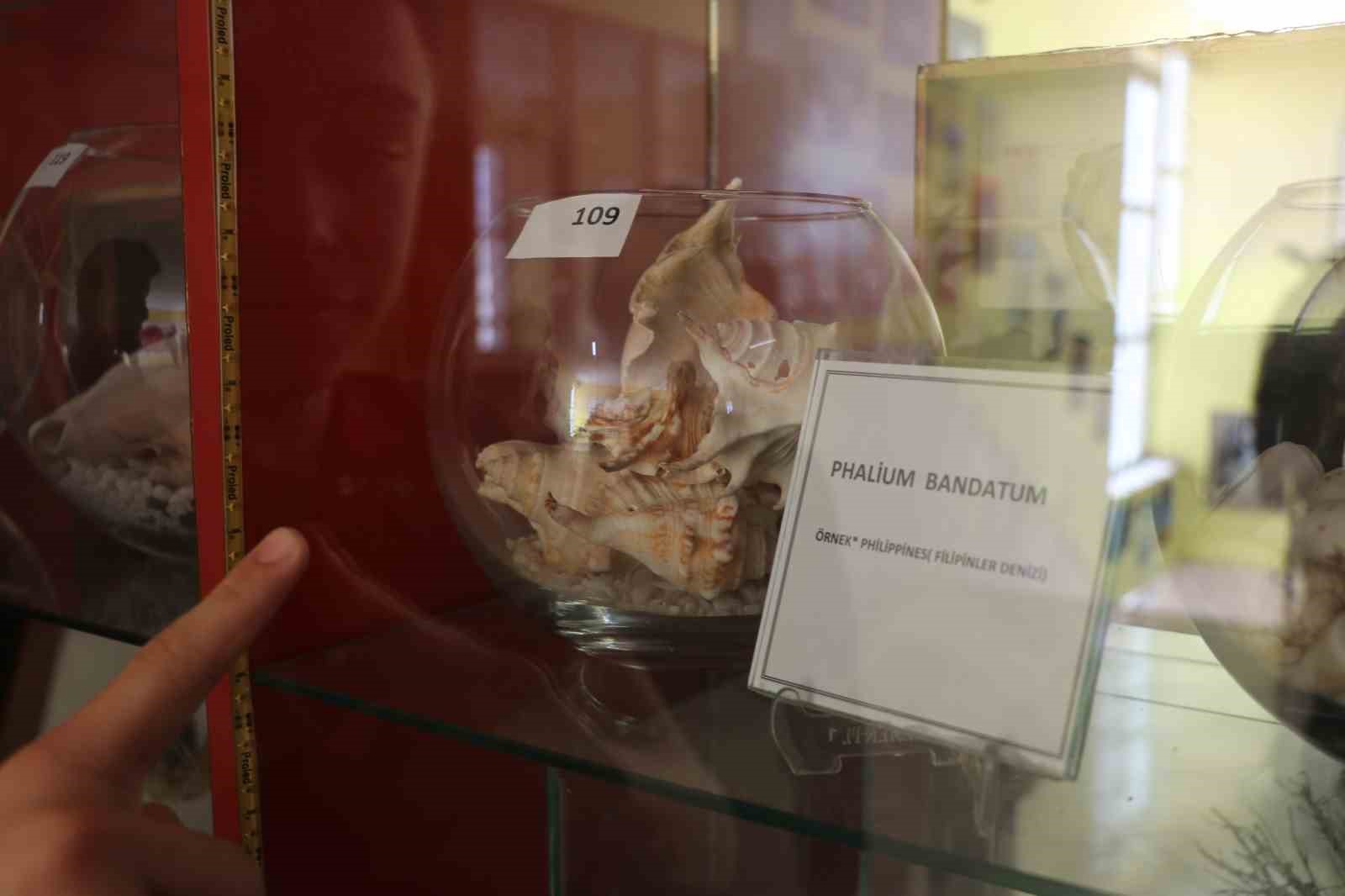 Bir yumurta ile başladığı biyoloji merakını müzeye dönüştürdü
