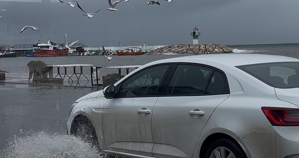 "Birazdan balıklar gelir" dedi, kuşlar sahil yolunda avladı
