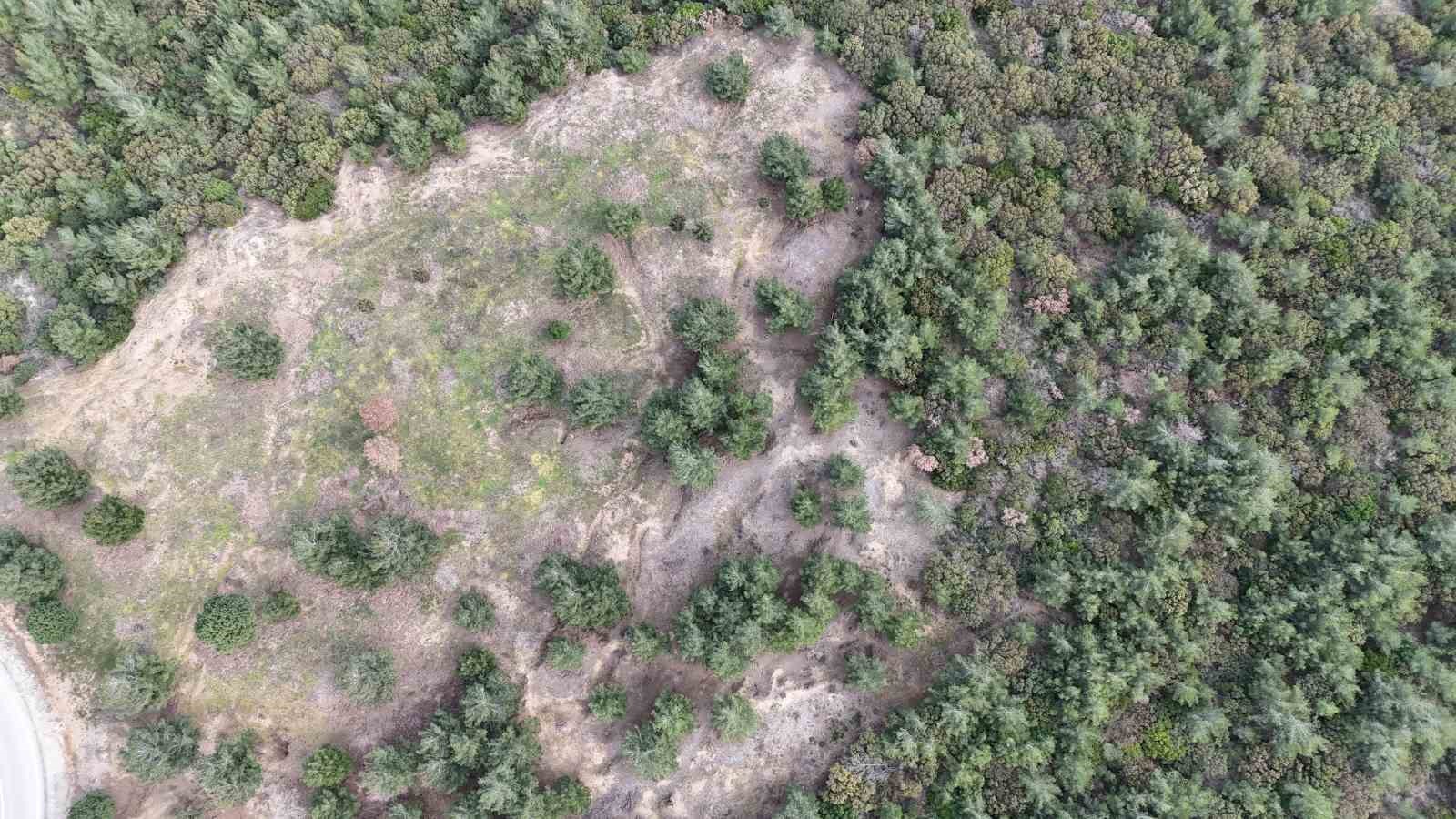 Birinci Dünya Savaşı’ndaki en meşhur Türk askeri fotoğraflarından biri olan fotoğrafın 125. Alay’a ait olduğu ortaya çıktı
