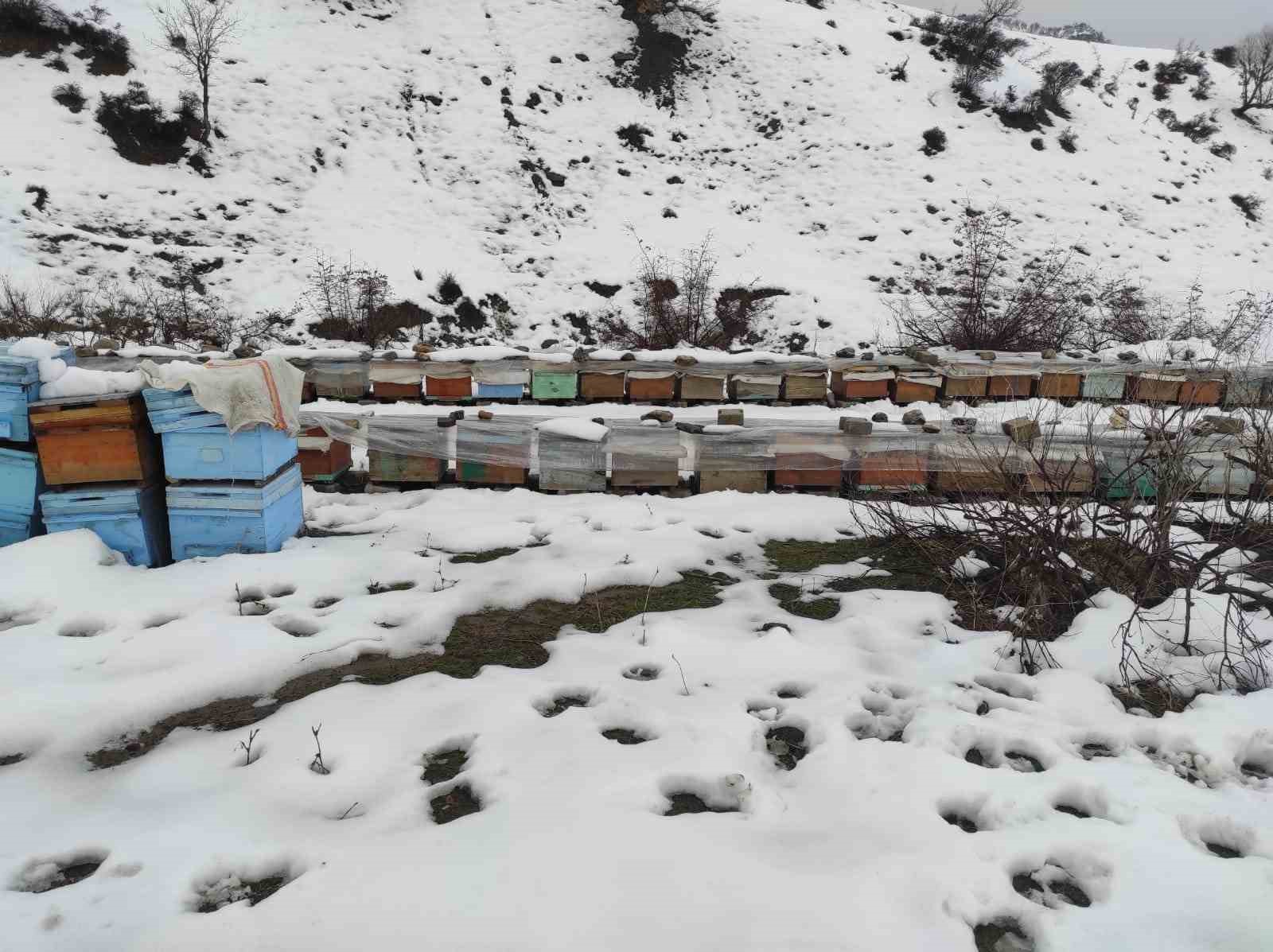 Birincilik getiren arılarını kış şartlarında özenle koruyor
