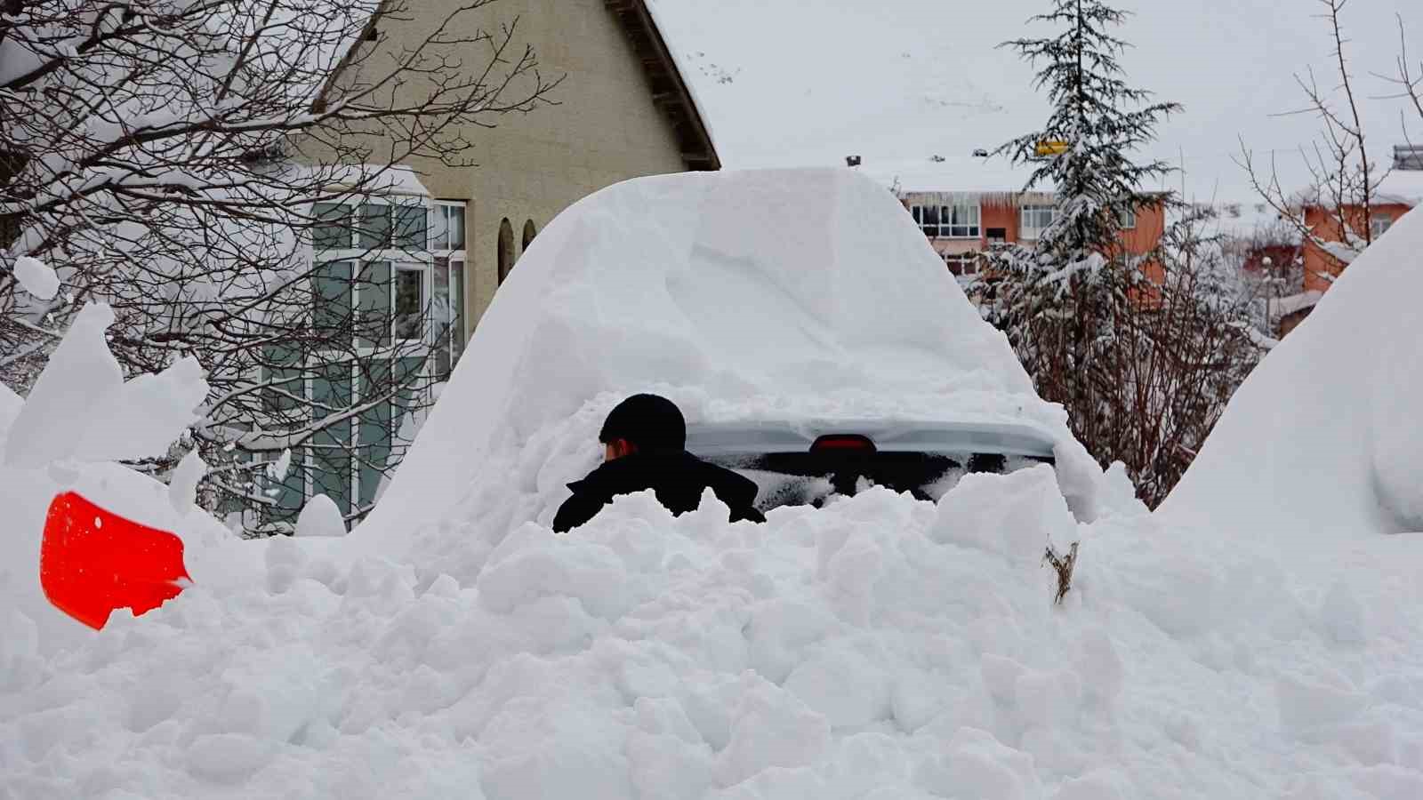 Bitlis kara gömüldü: 294 köy yolu ulaşıma kapandı
