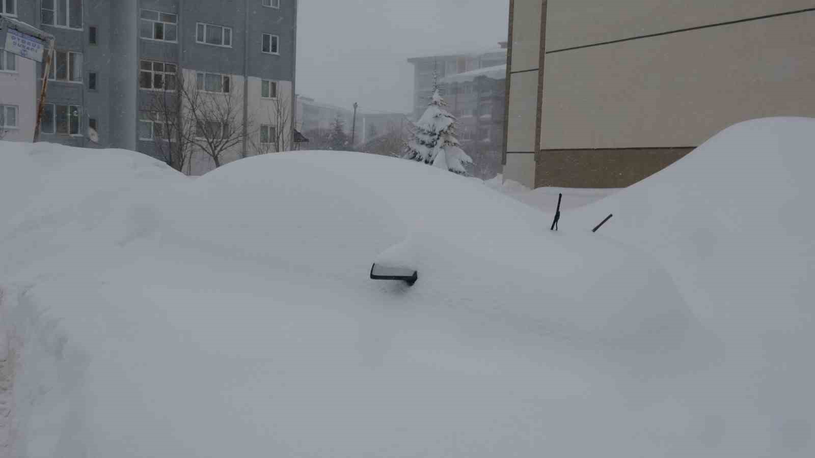 Bitlis kara gömüldü, 335 köy yolu kapalı
