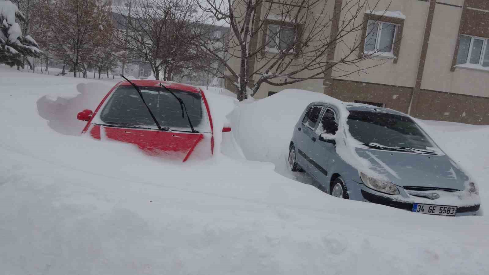 Bitlis kara gömüldü, 335 köy yolu kapalı
