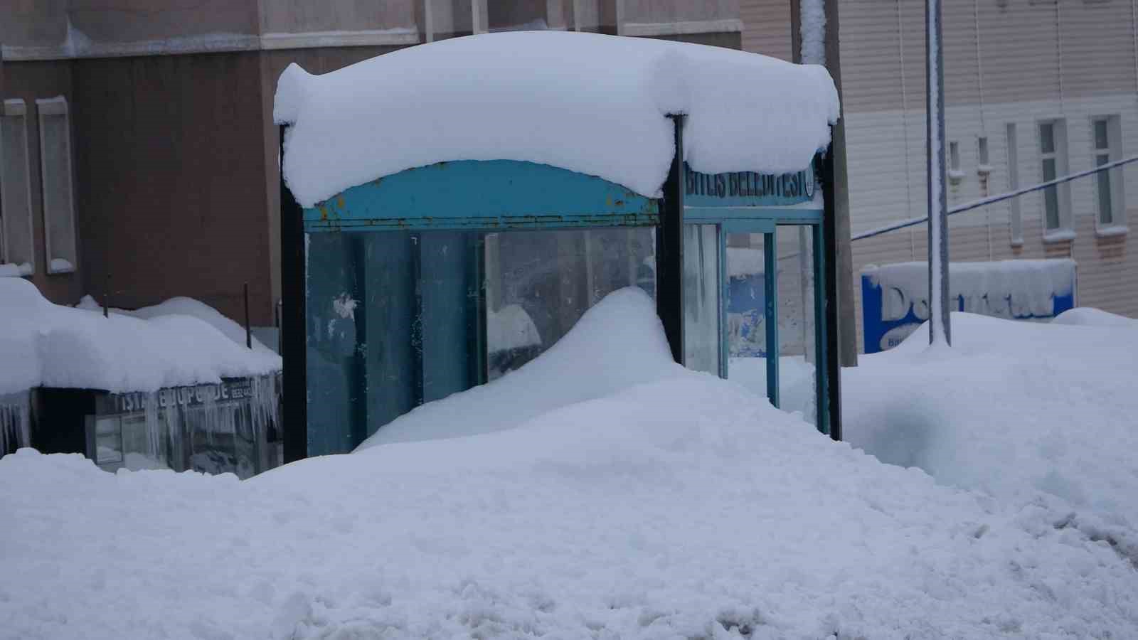 Bitlis mart ayında kara gömüldü
