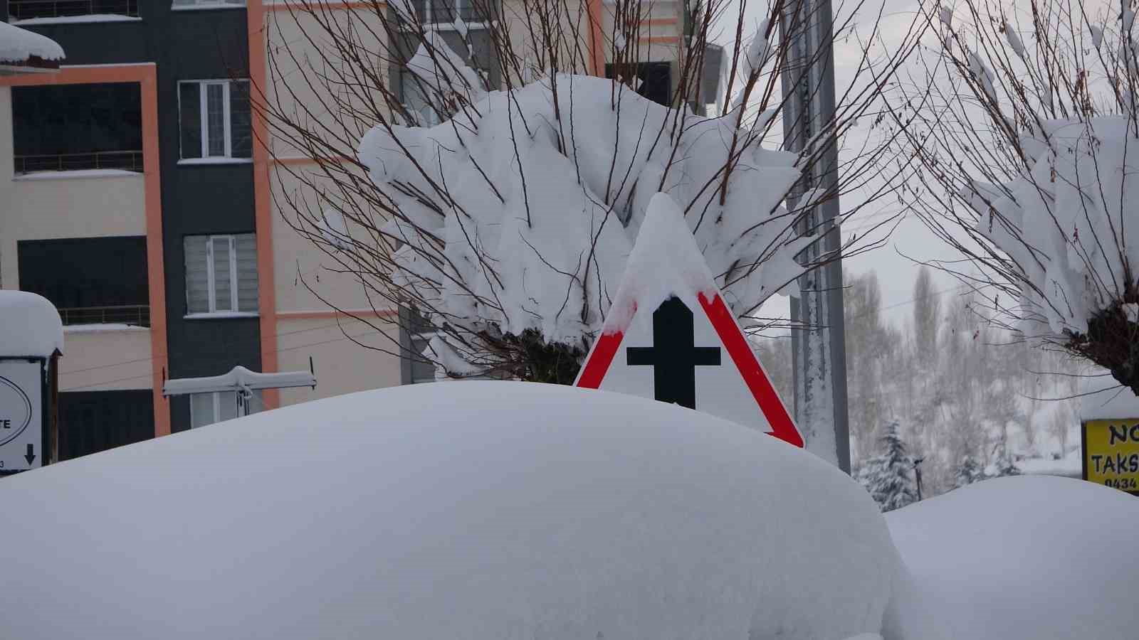 Bitlis mart ayında kara gömüldü
