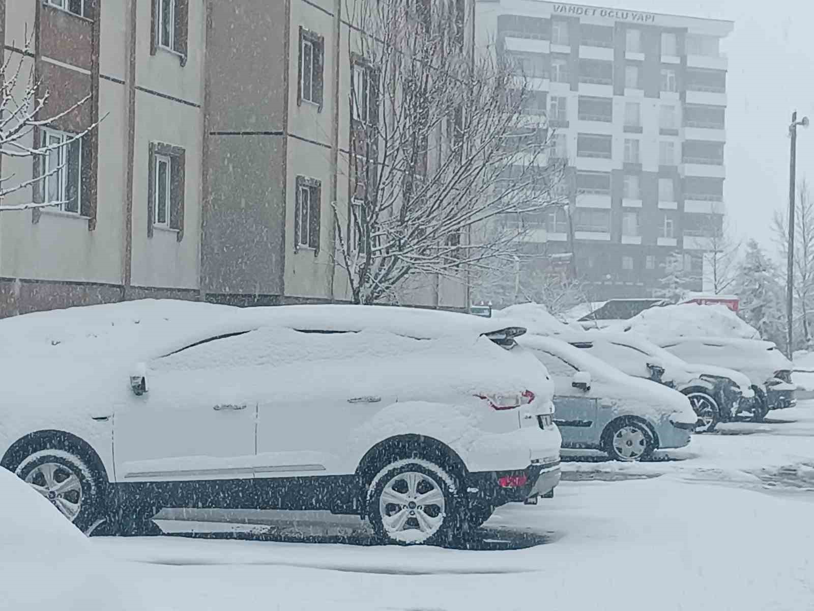 Bitlis nisan ayında yeniden beyaza büründü
