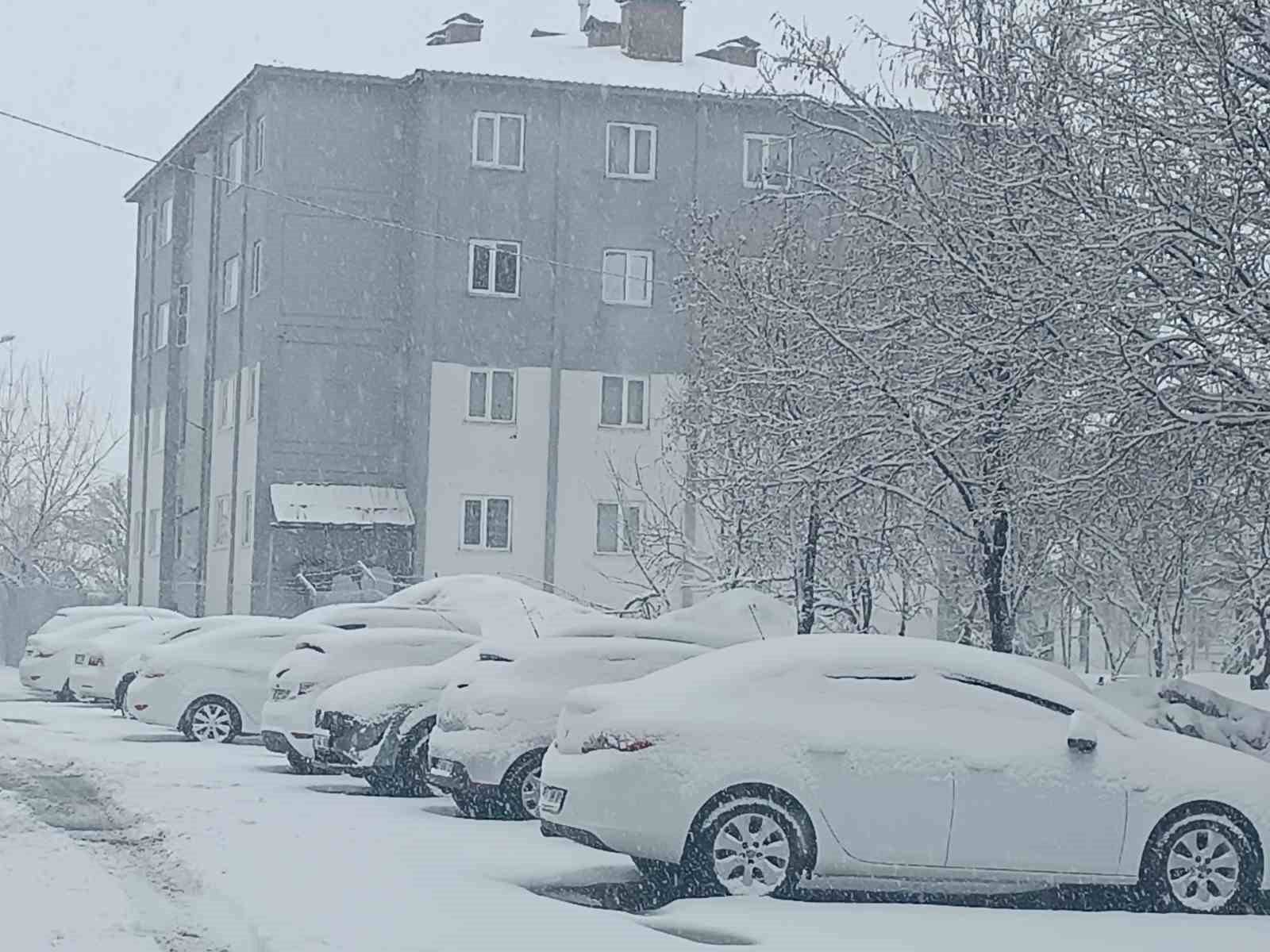 Bitlis nisan ayında yeniden beyaza büründü
