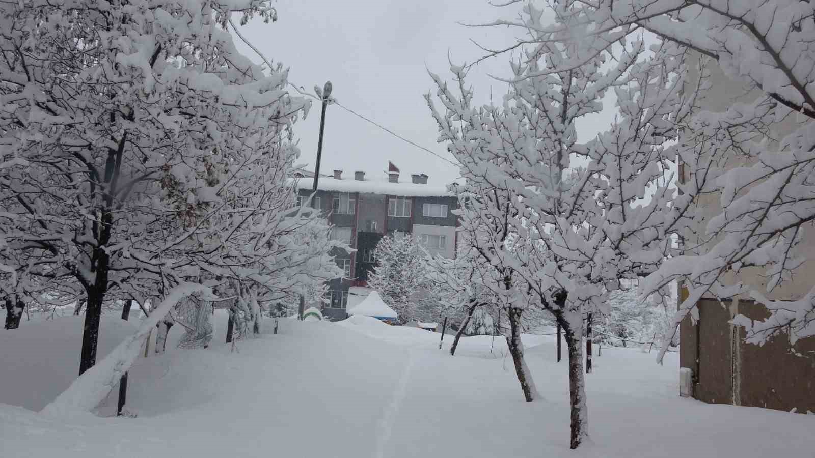 Bitlis’te 111 köy yolu ulaşıma kapandı
