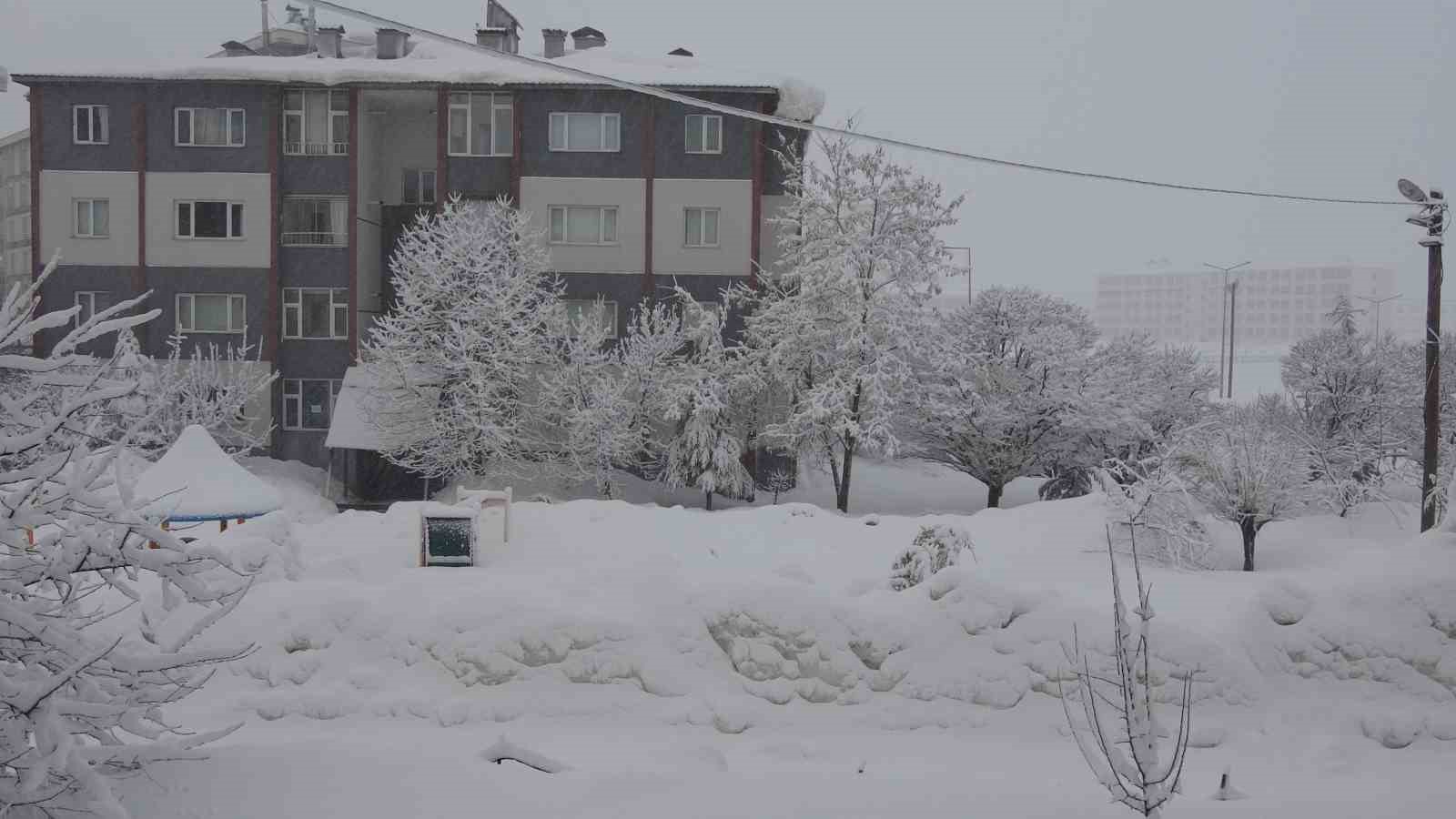 Bitlis’te 165 köy yolu kardan kapandı
