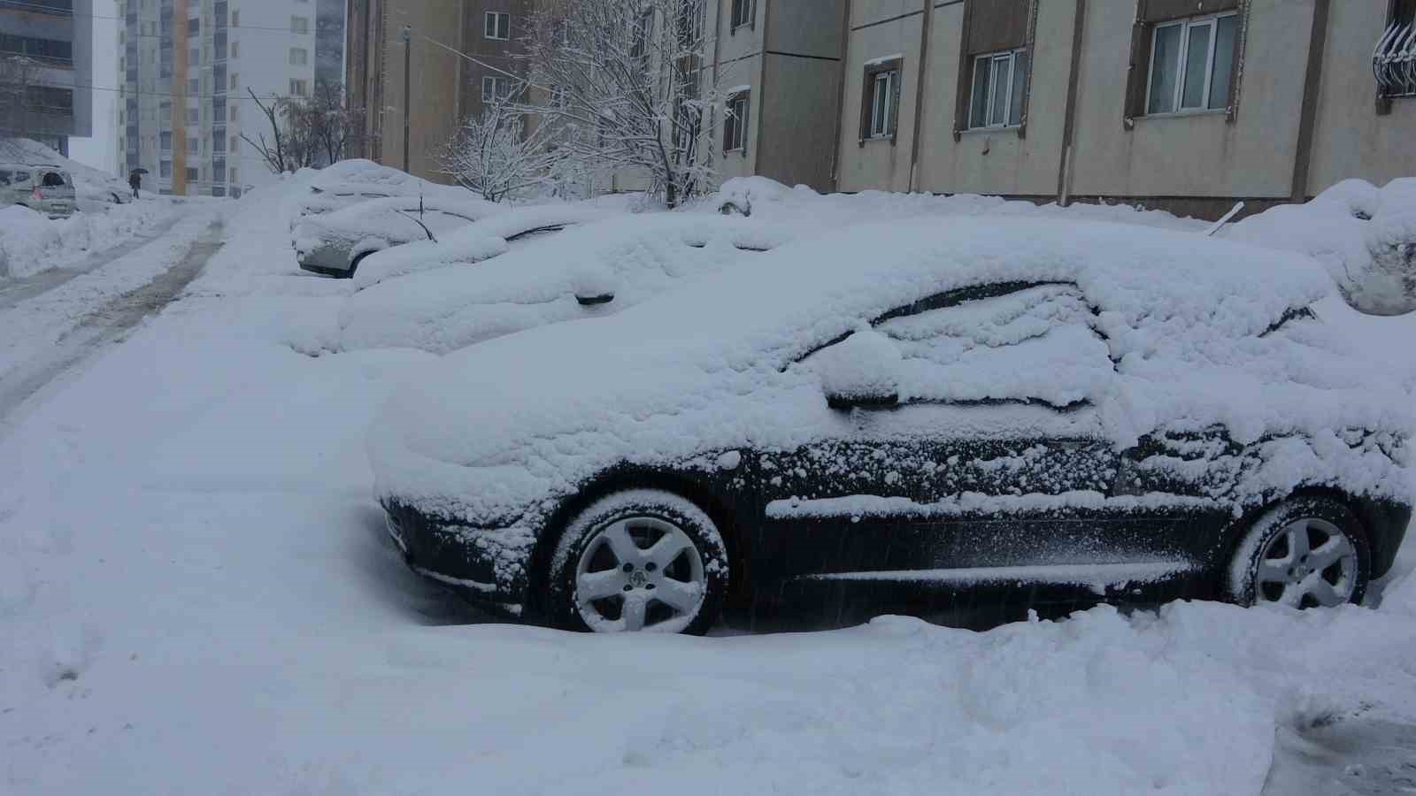 Bitlis’te 165 köy yolu kardan kapandı
