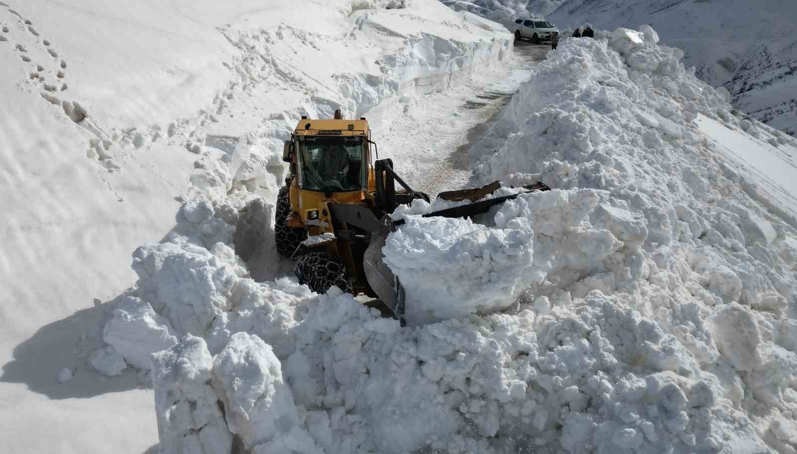 Bitlis’te 5 metreyi bulan karda yol açma çalışması
