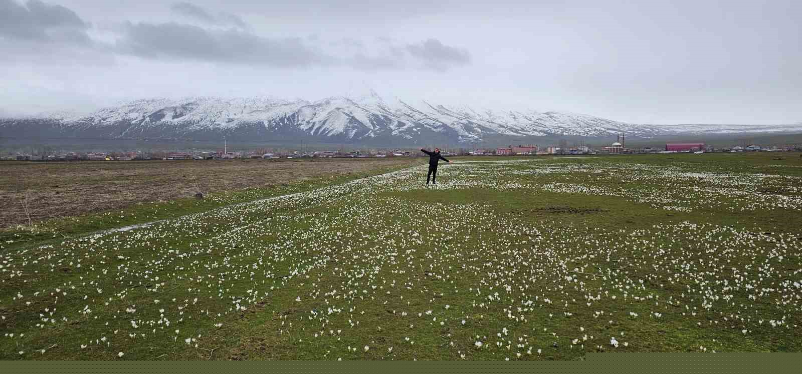 Bitlis’te baharın müjdecisi kardelenler açtı
