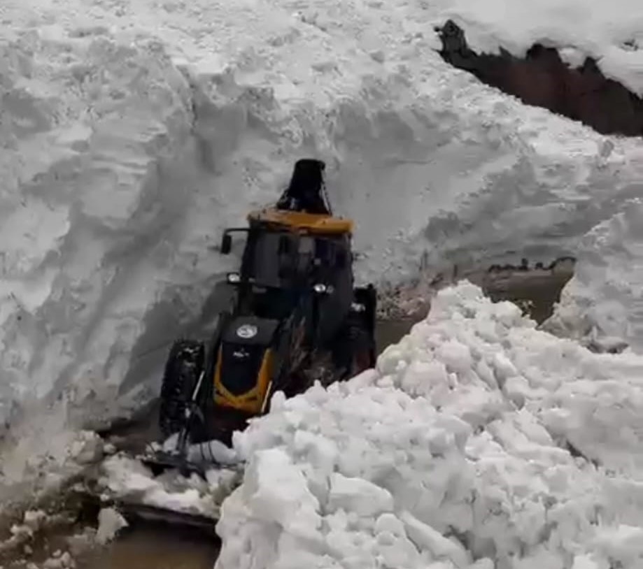 Bitlis’te çığ ve heyelan meydana geldi
