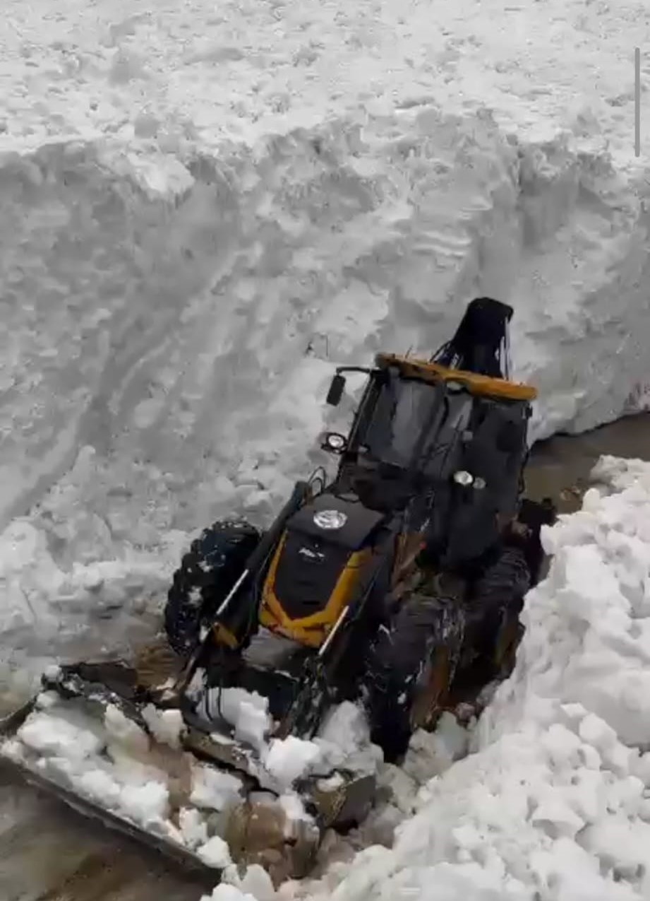 Bitlis’te çığ ve heyelan meydana geldi
