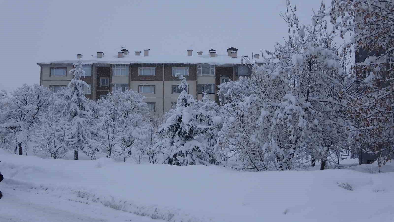 Bitlis’te kar esareti, 229 köy yolu ulaşıma kapalı
