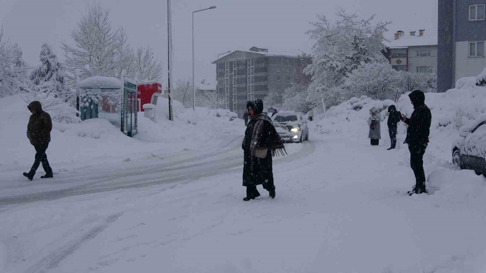 Bitlis’te kar yağışı: 62 köy yolu ulaşıma kapandı
