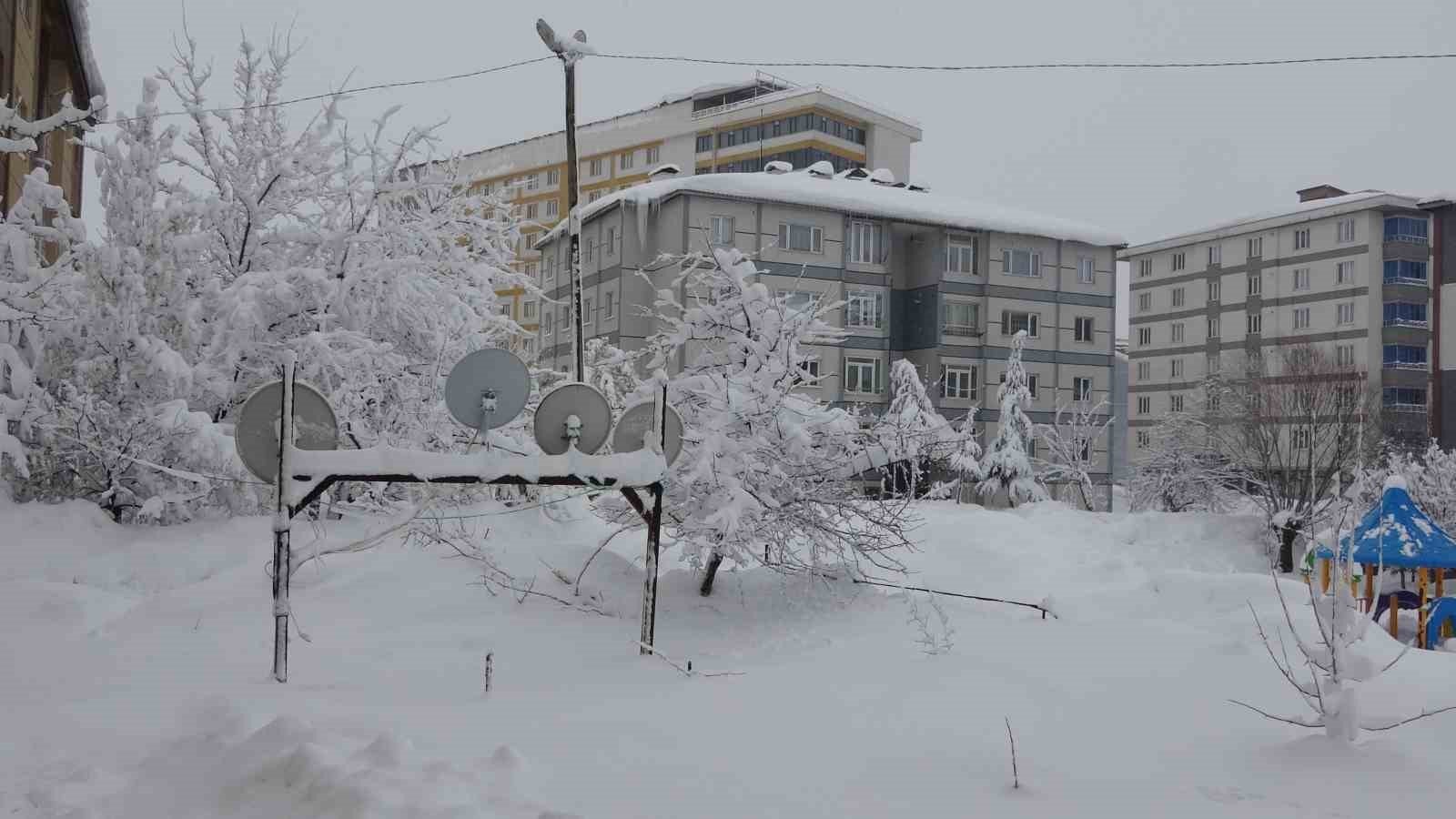Bitlis’te kar yağışı yeniden etkili oldu
