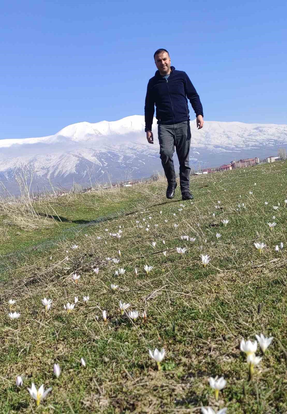 Bitlis’te kardelen ve çiğdemler açtı
