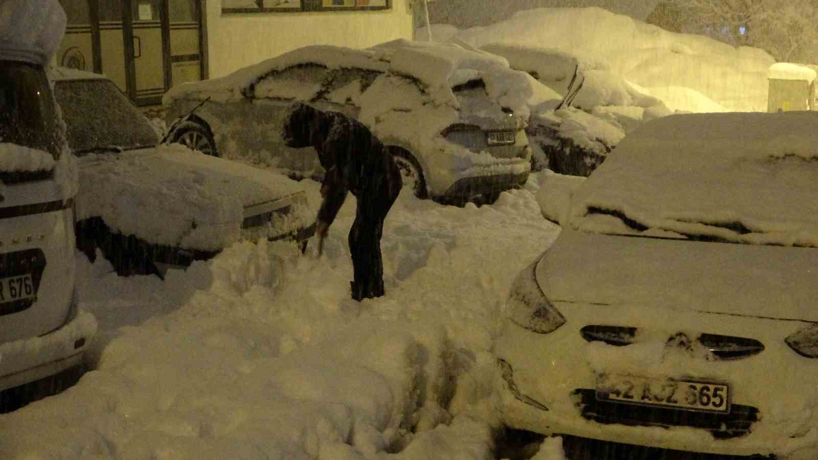 Bitlis’te kent merkezi beyaza büründü
