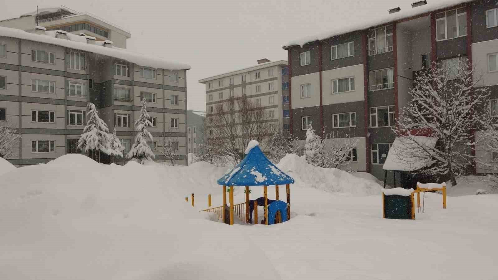 Bitlis’te mart karı 288 köy yolu ulaşıma kapattı
