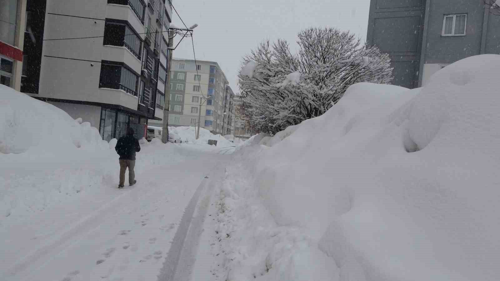 Bitlis’te mart karı 288 köy yolu ulaşıma kapattı
