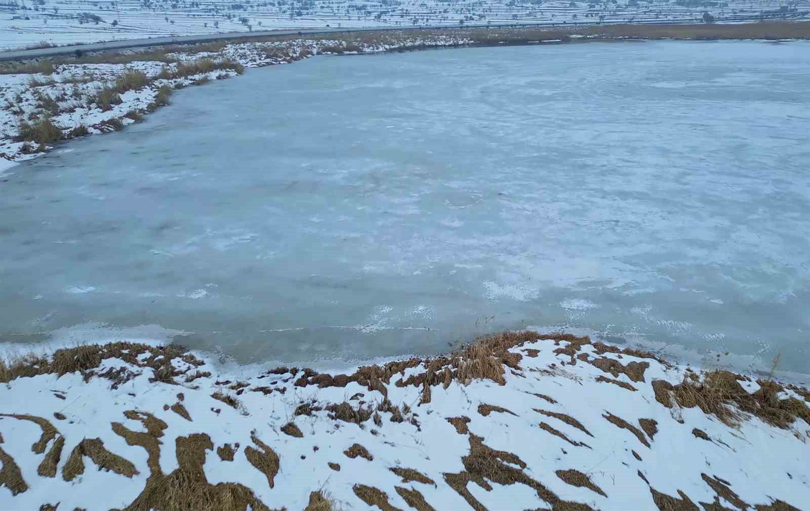 Bitlis’te sazlıklar dondu, kuşlar gölde toplandı
