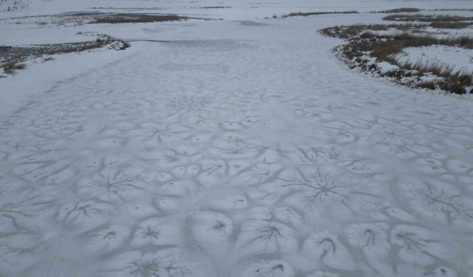Bitlis’te tüm göller buz tuttu
Bitlis’te tüm göller buz tuttu