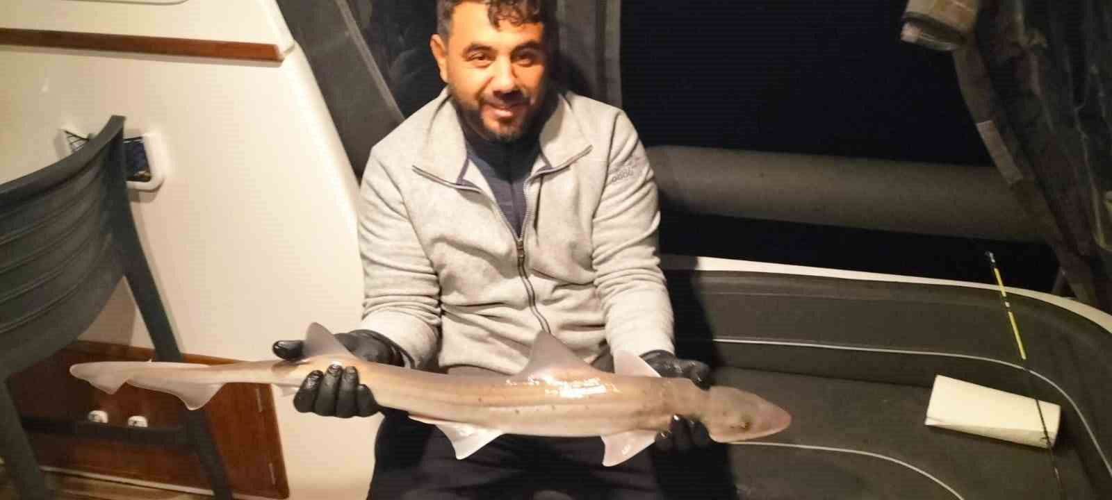 Bodrum açıklarında oltaya köpek balığı takıldı
